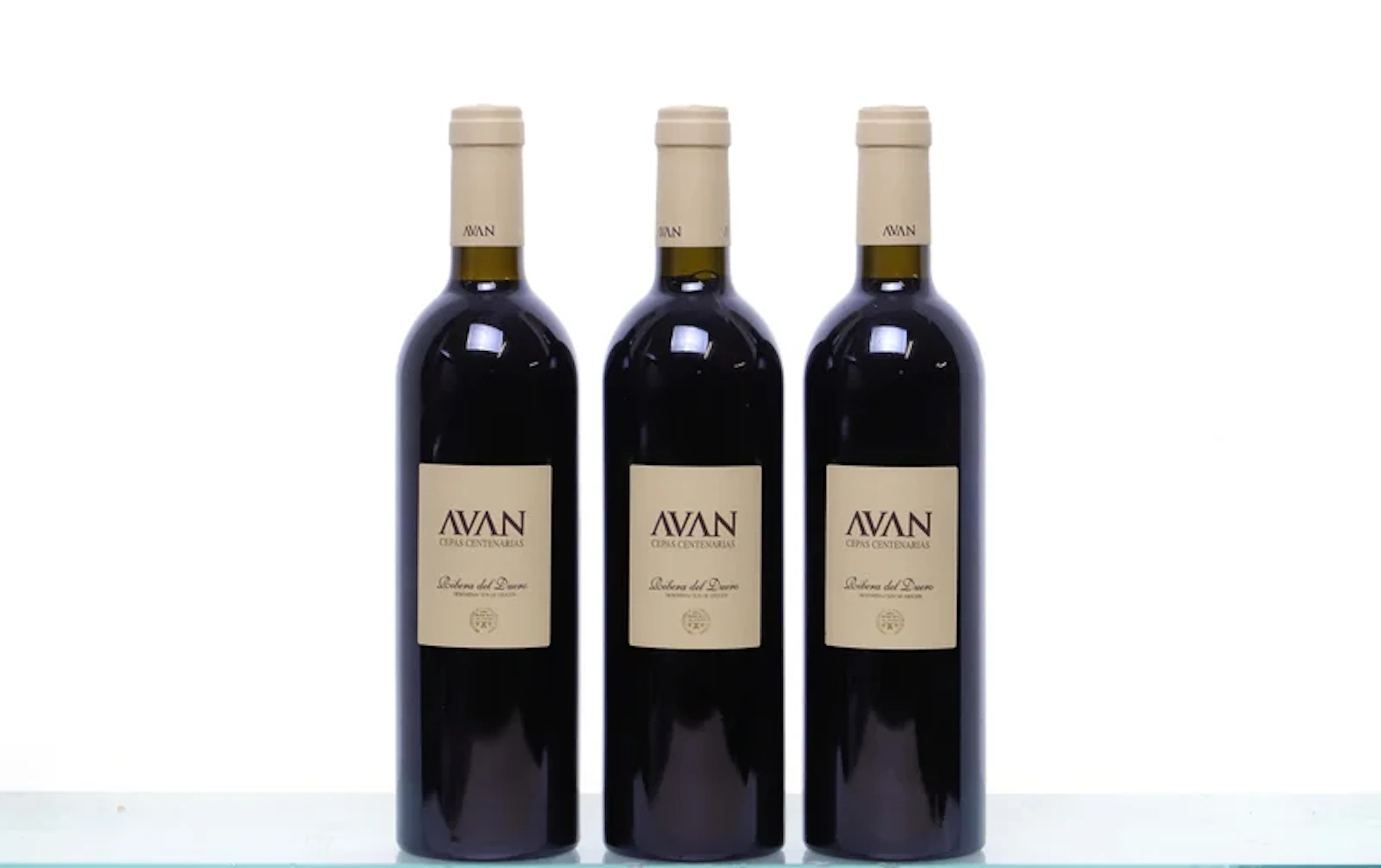 RIBERA DEL DUERO Juan Manuel Burgos