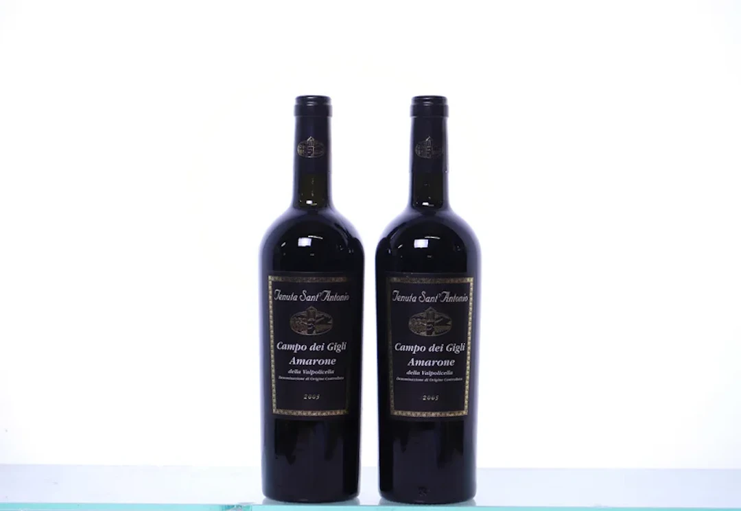 2 bottles. VENETO Tenuta Sant'Antonio Campo dei Gigli Amarone della