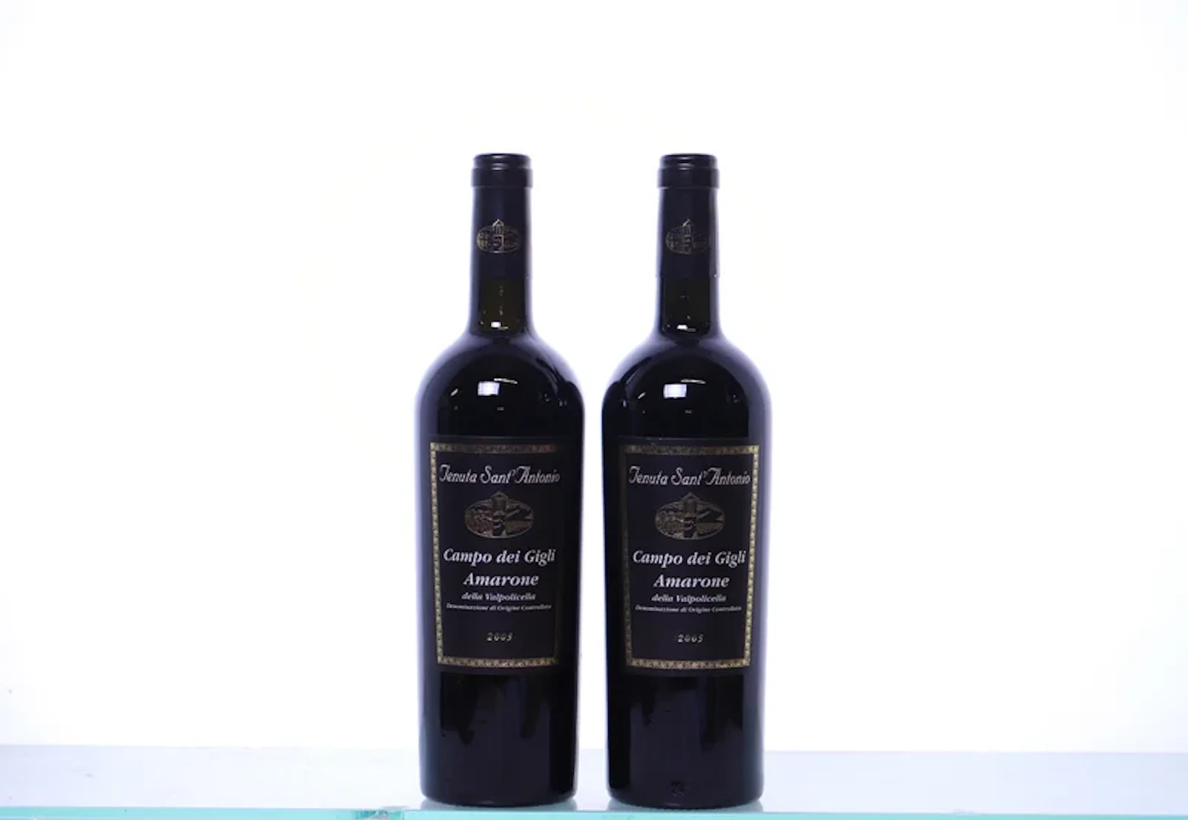 2 bottles. VENETO Tenuta Sant'Antonio Campo dei Gigli Amarone della