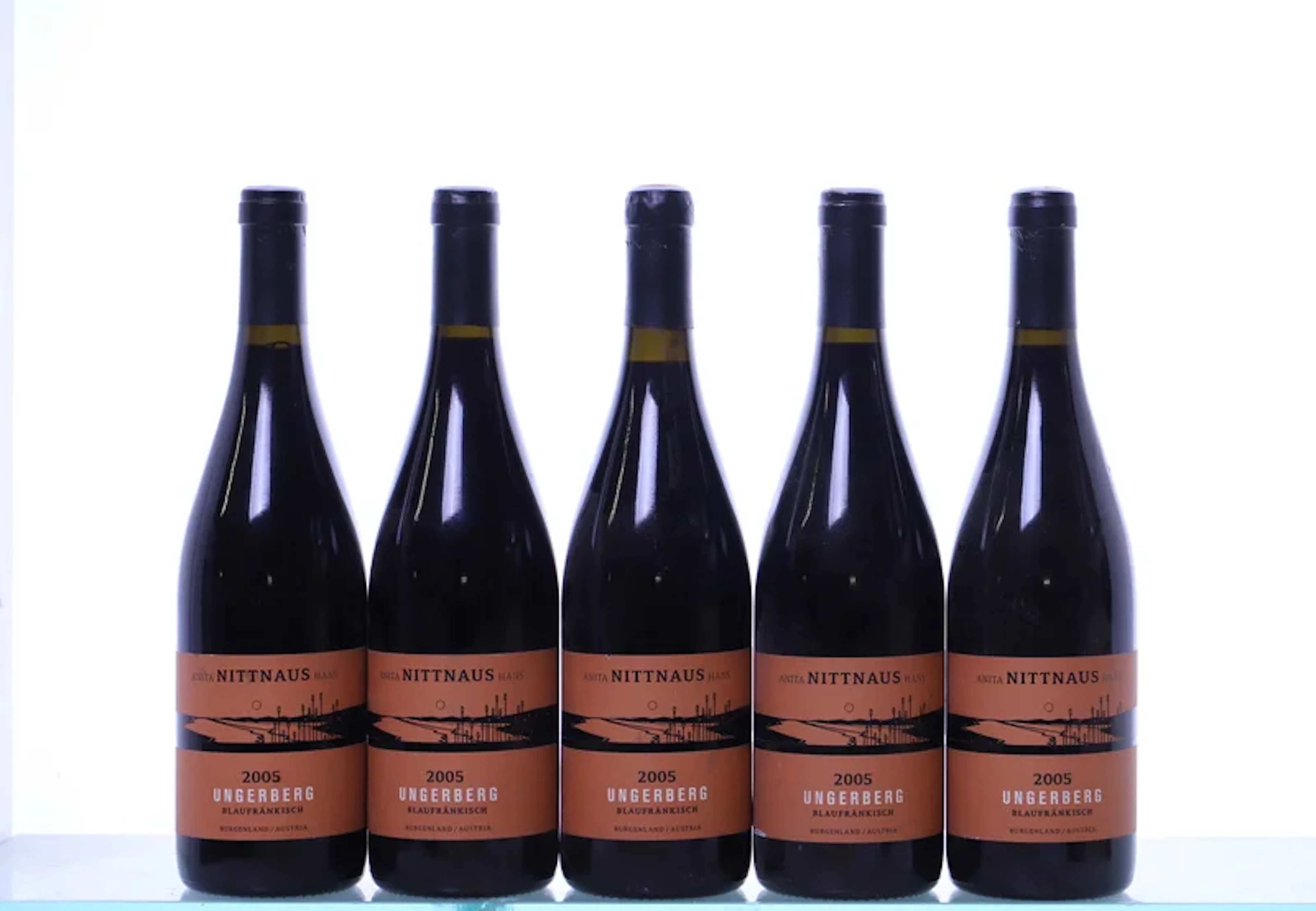 5 bottles. NITTNAUS Blaufränkisch Ungerberg, 2005.