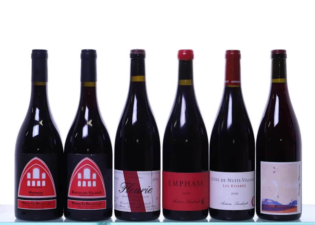 6 bottles. BEAUJOLAIS + BOURGOGNE mixed 2018-2021.