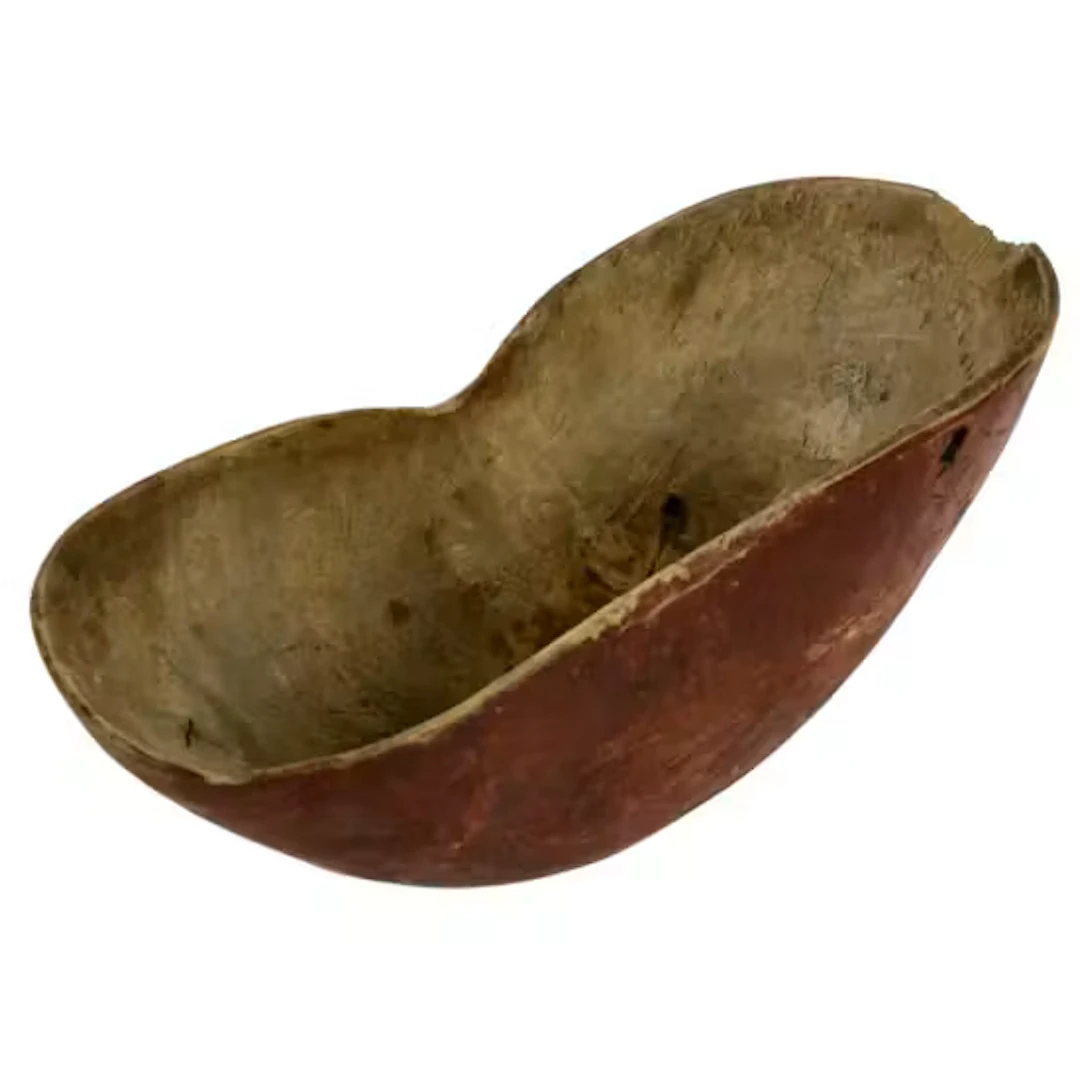 BOLLE