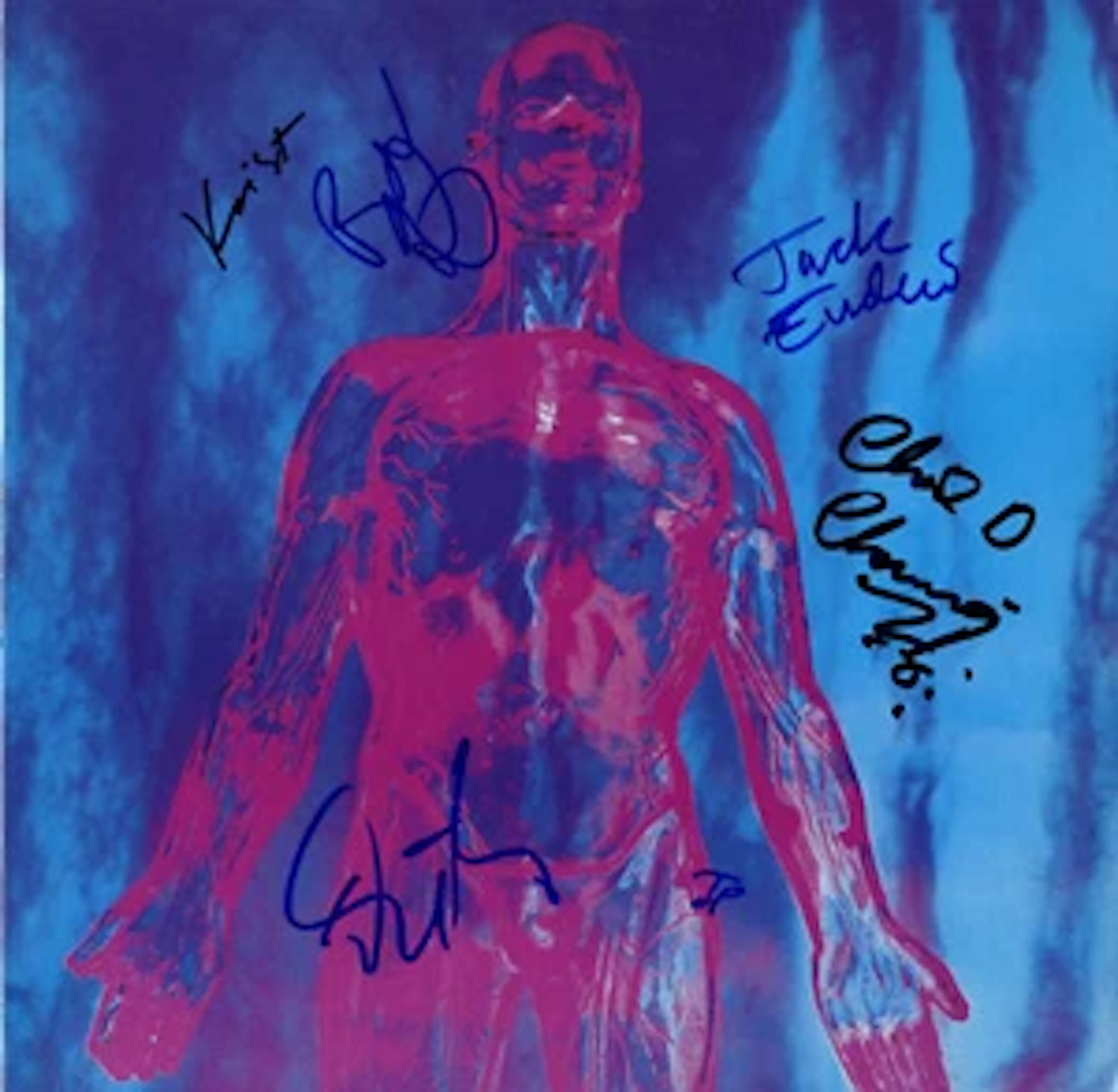 Nirvana Group Signed "Silver" Album (6 Sigs) (Third Party Guaranteed)