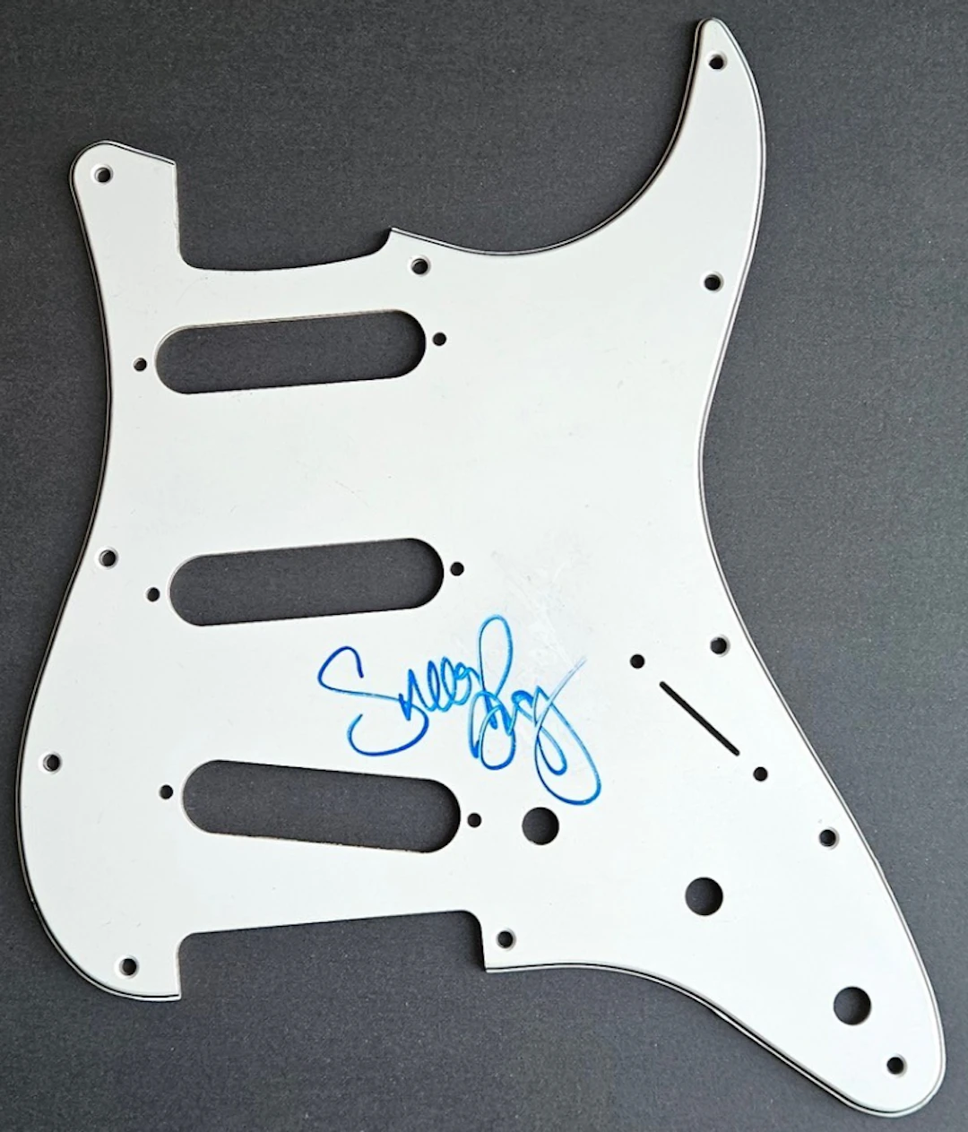 Snoop Dogg Signed Stratocaster-Style Pickguard (Third Party Guaranteed)