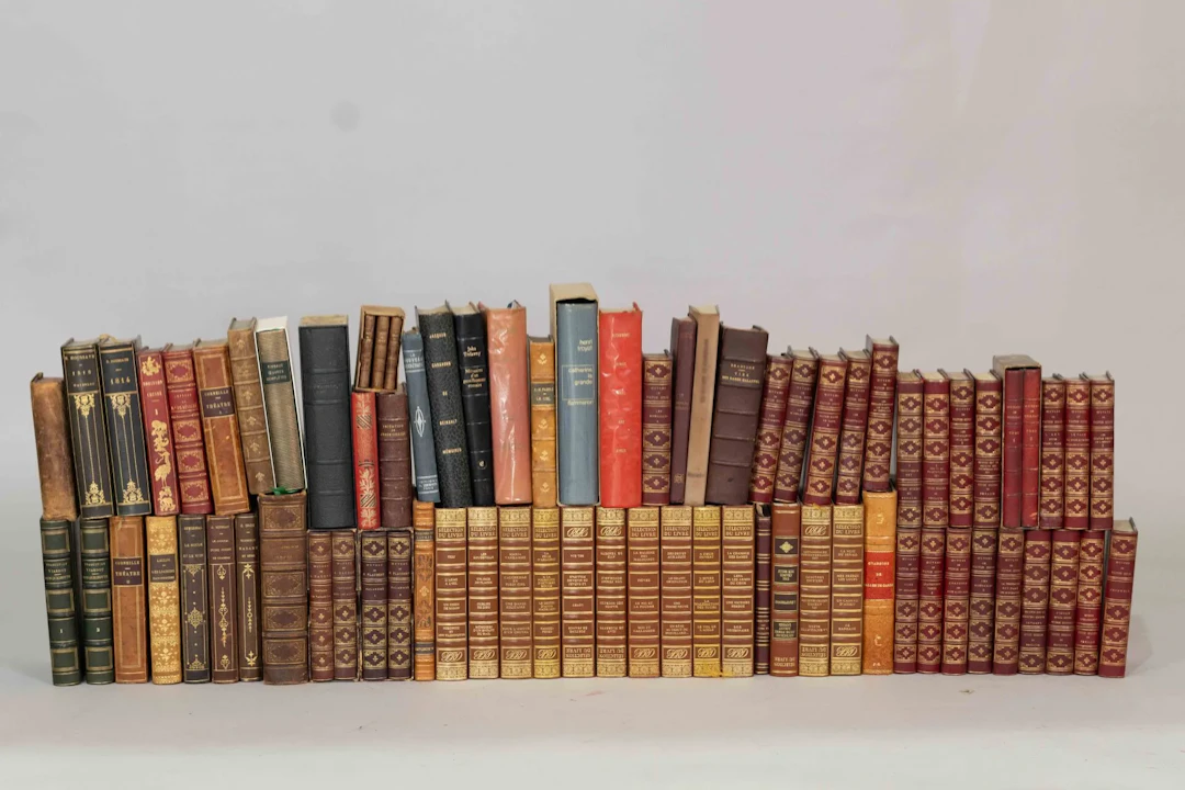 A lot of assorted books, including art books and bound volum - Lot 25
