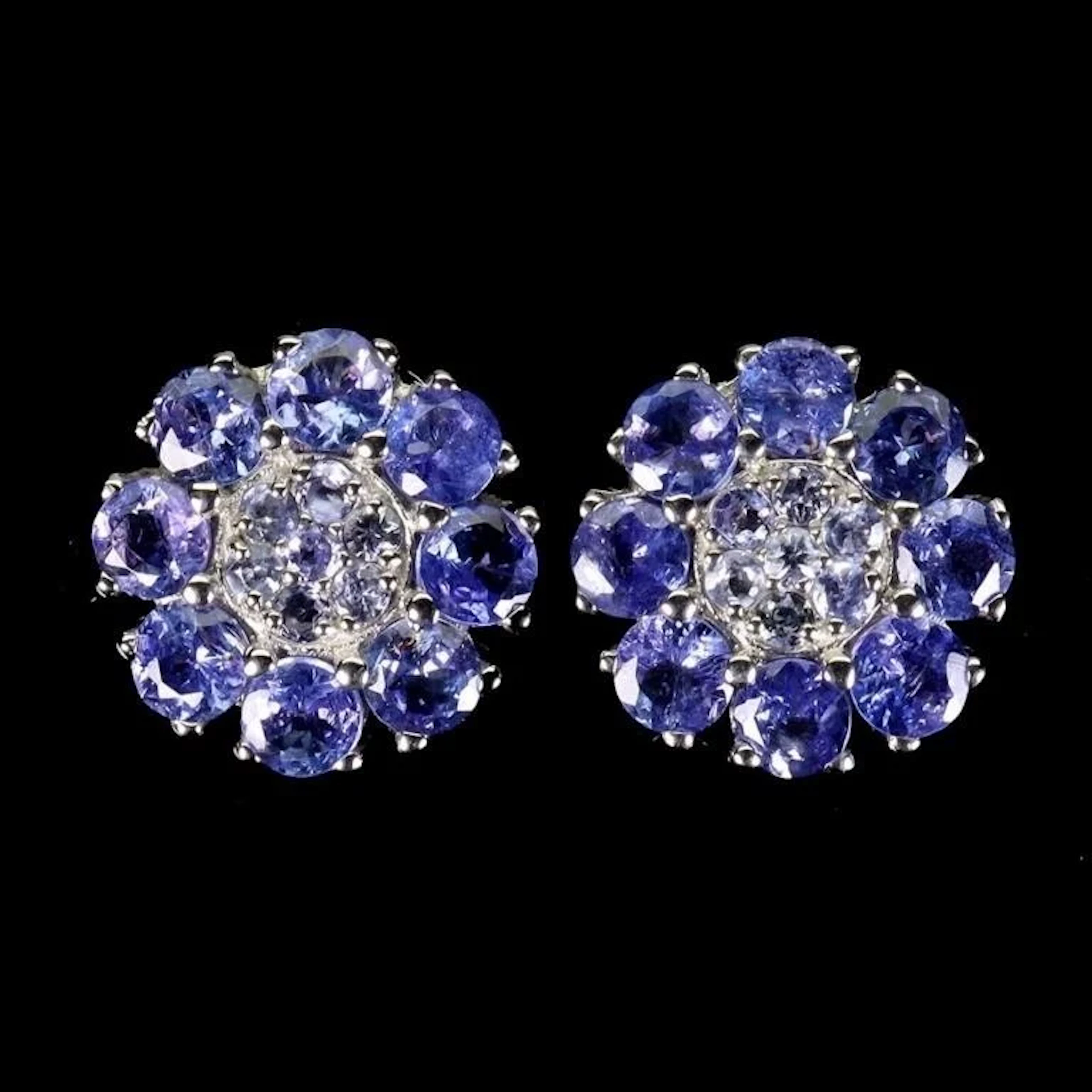 Natural Unheated Tanzanite Earrings