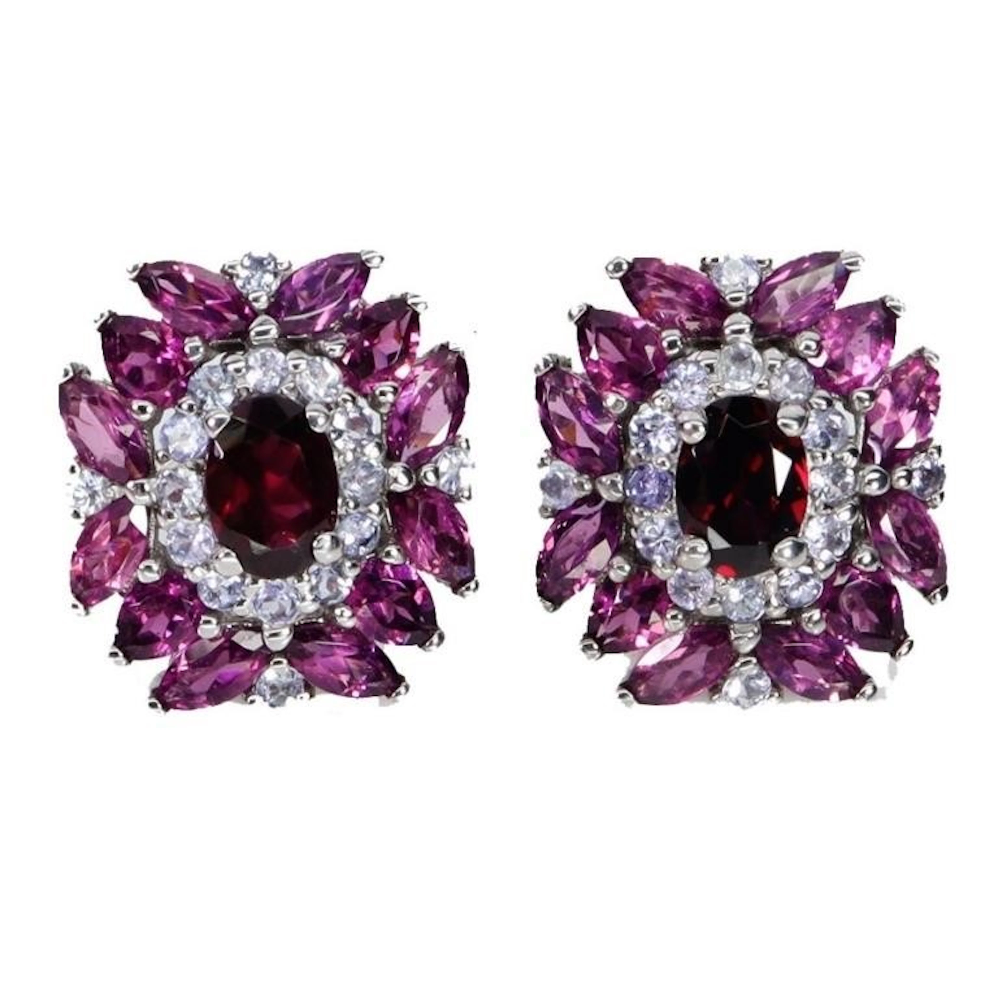 Natural Garnet & Tanzanite Earrings
