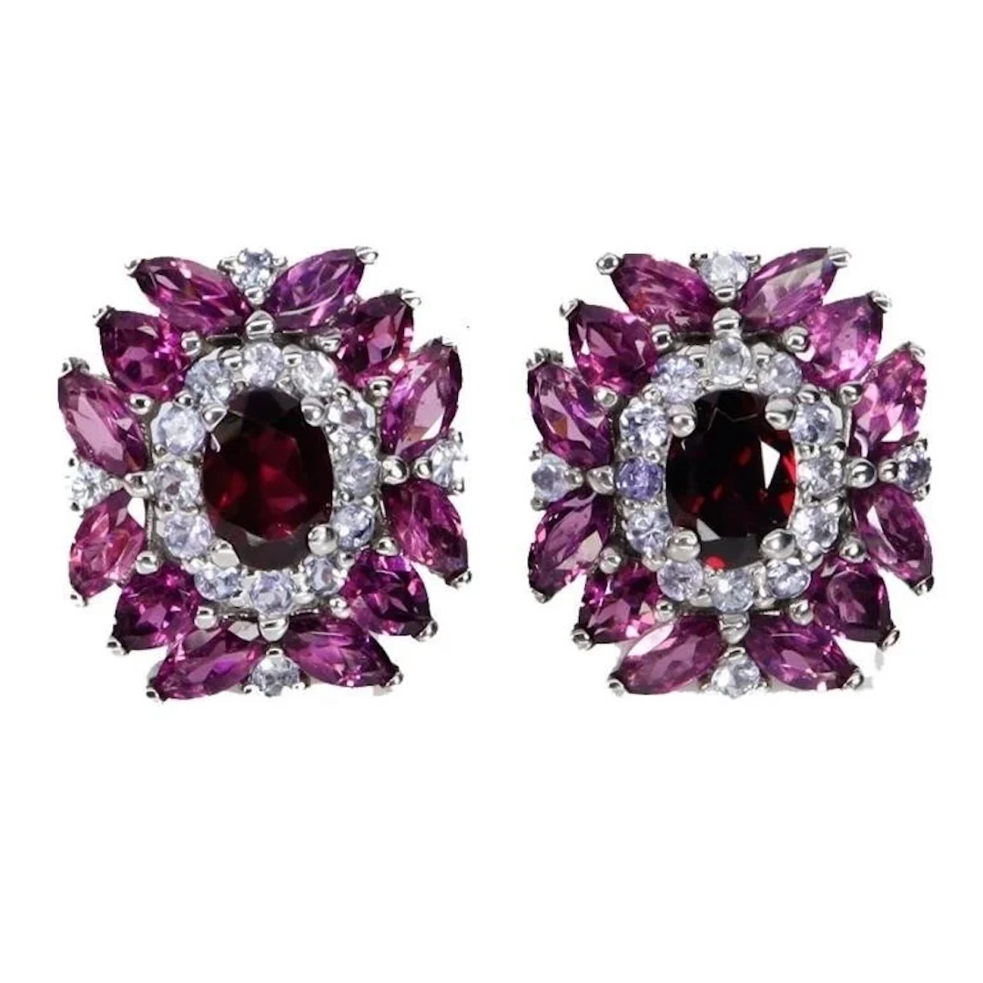 Natural Garnet & Tanzanite Earrings