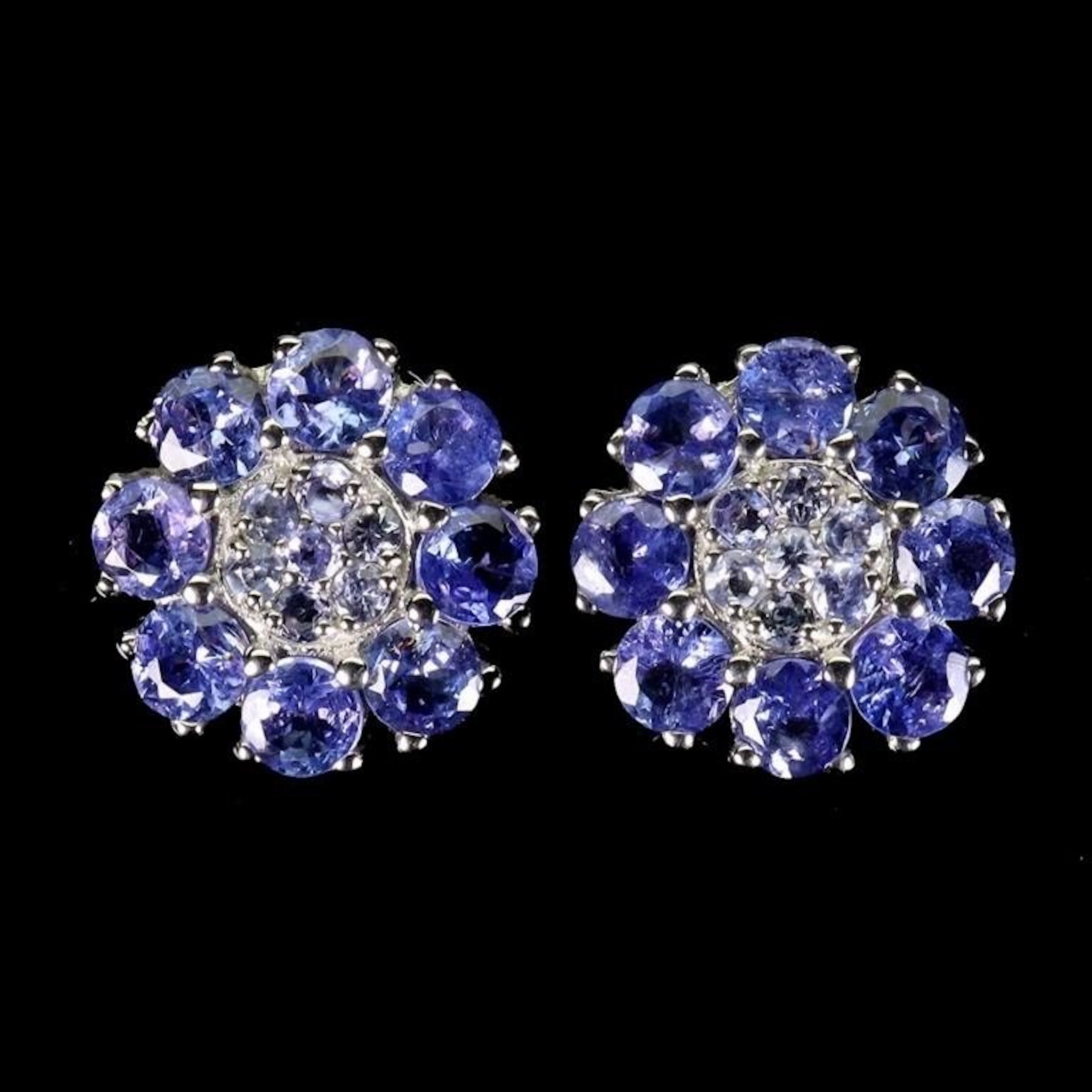 Natural Unheated Tanzanite Earrings