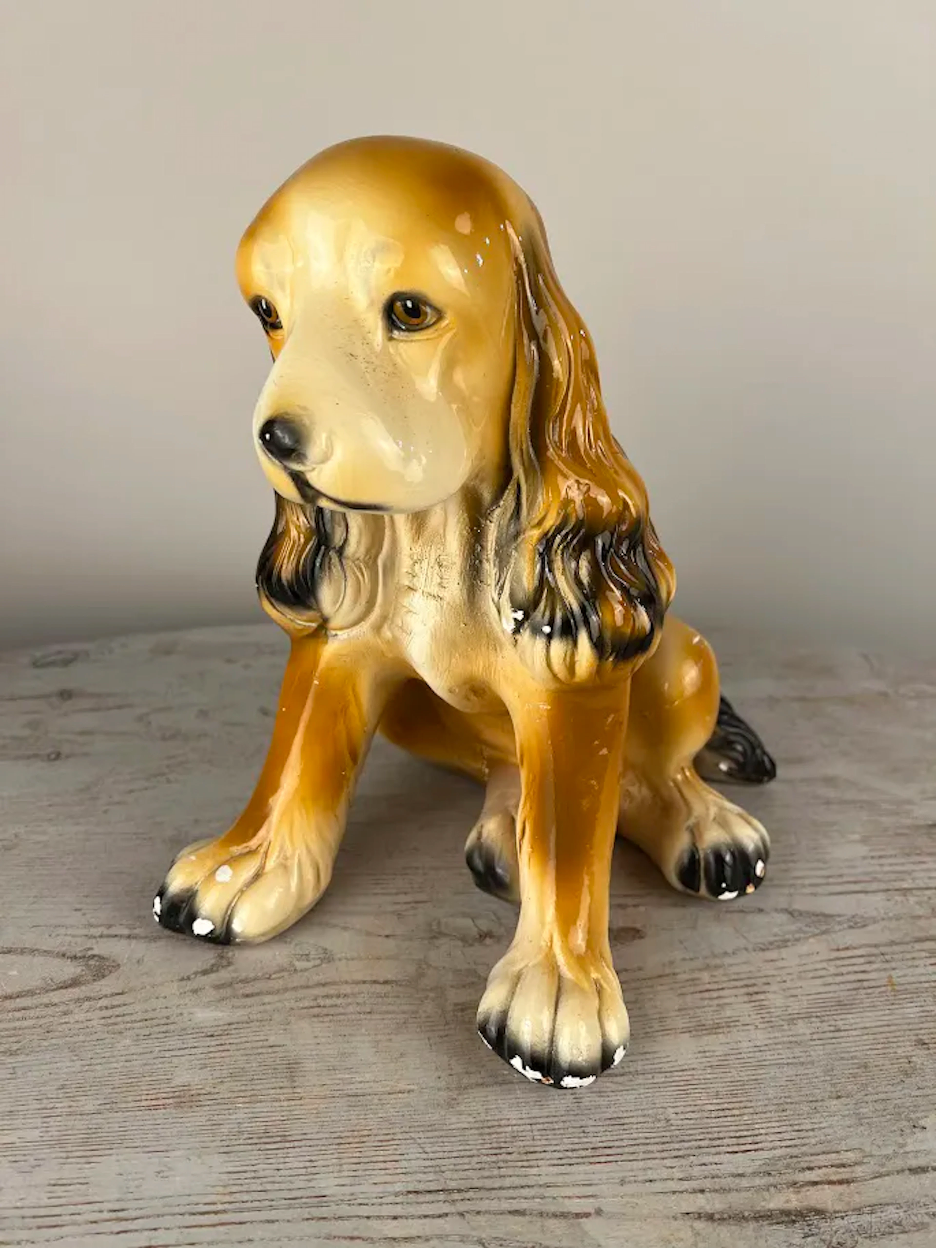 Hund Spaniel