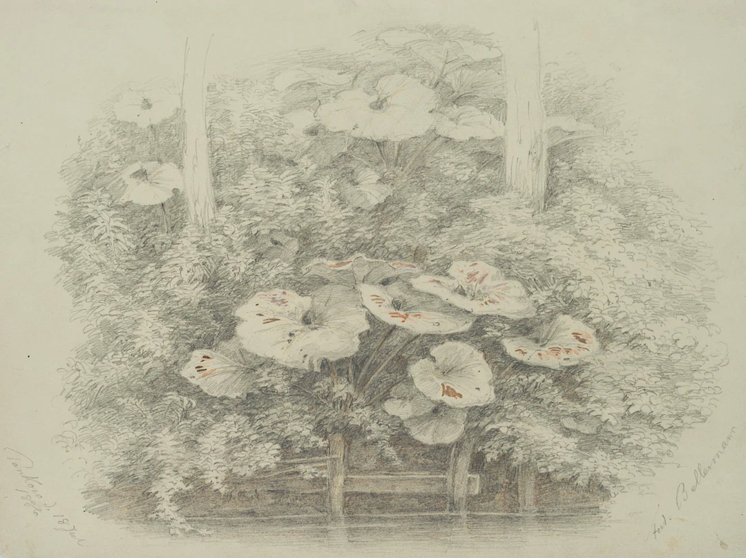 Uferböschung in Pankow | 18551