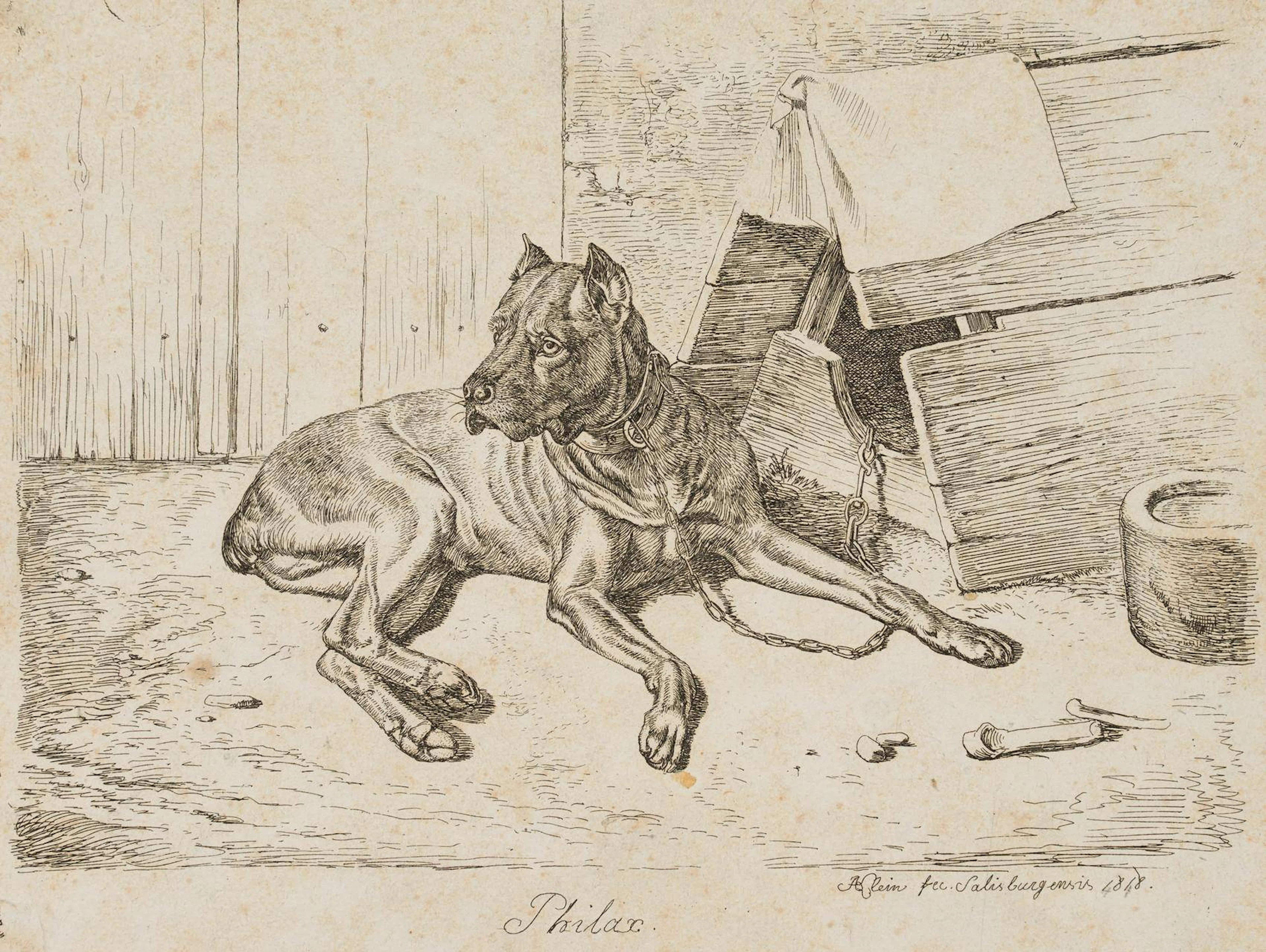 Philax, Liegender Hatzhund | 17188