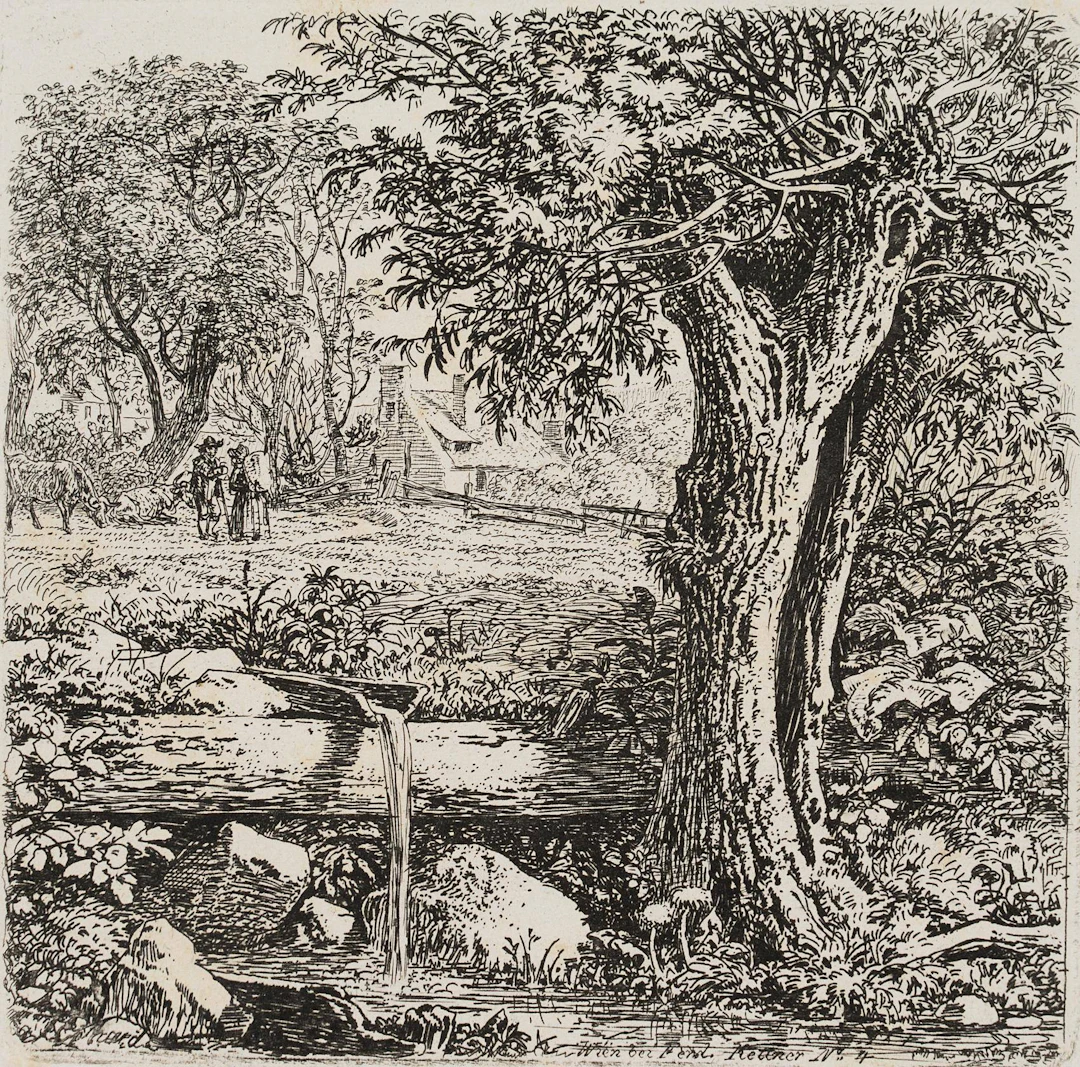 Wasserrinne neben dem Weidenbaum | 17126