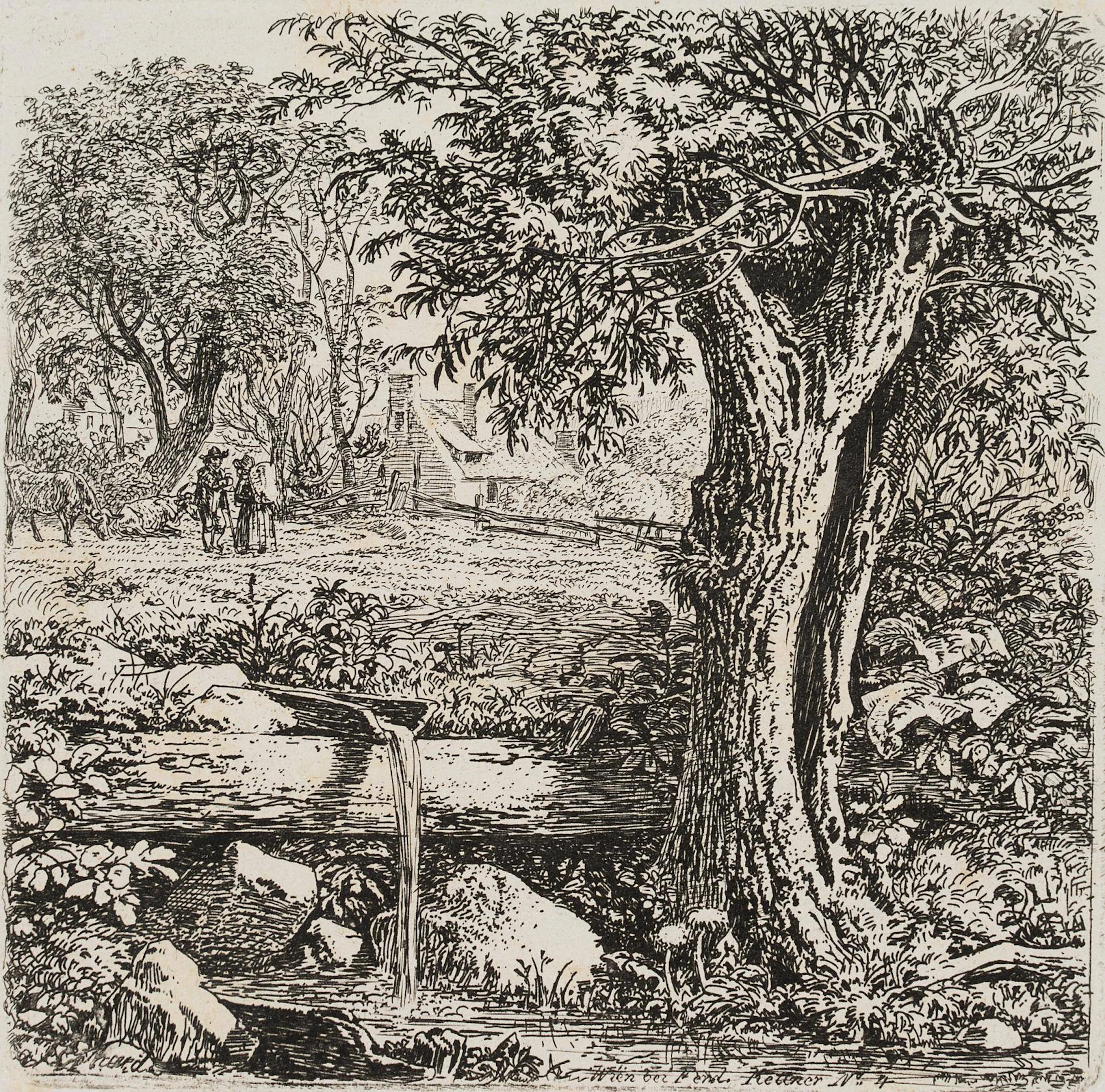 Wasserrinne neben dem Weidenbaum | 17126