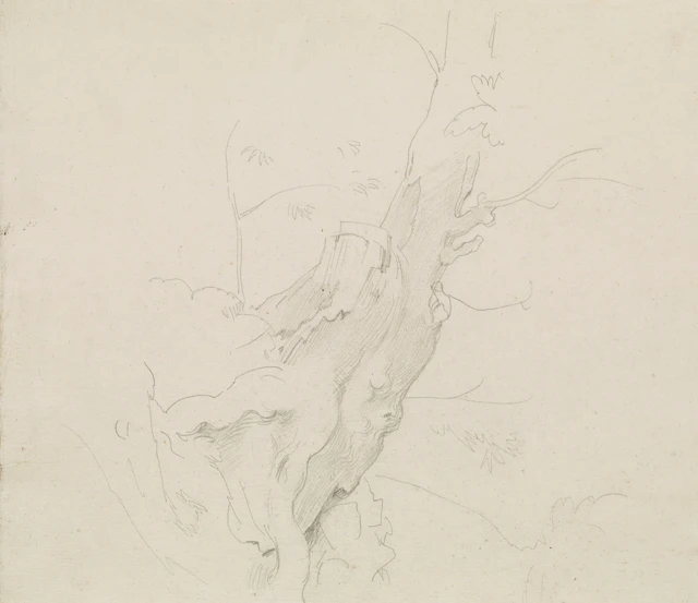 Baumstudie | 15456