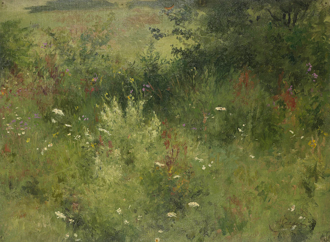 Sommerliche Wildblumenwiese | 62022