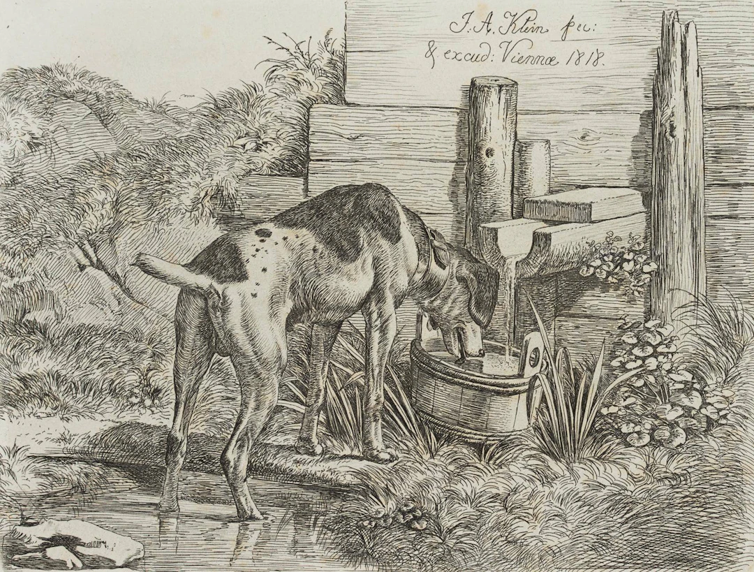 Der Hühnerhund am Röhrenbrunnen