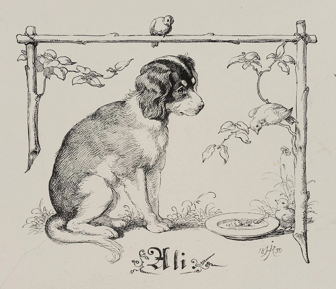 Der Familienhund Ali | 14569