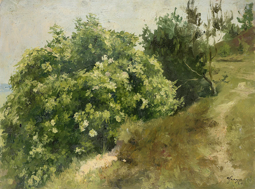 Blühender Strauch am Wiesenpfad | 62037