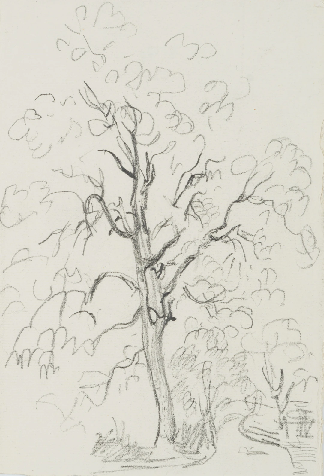 Baum am Wegrand | 45412
