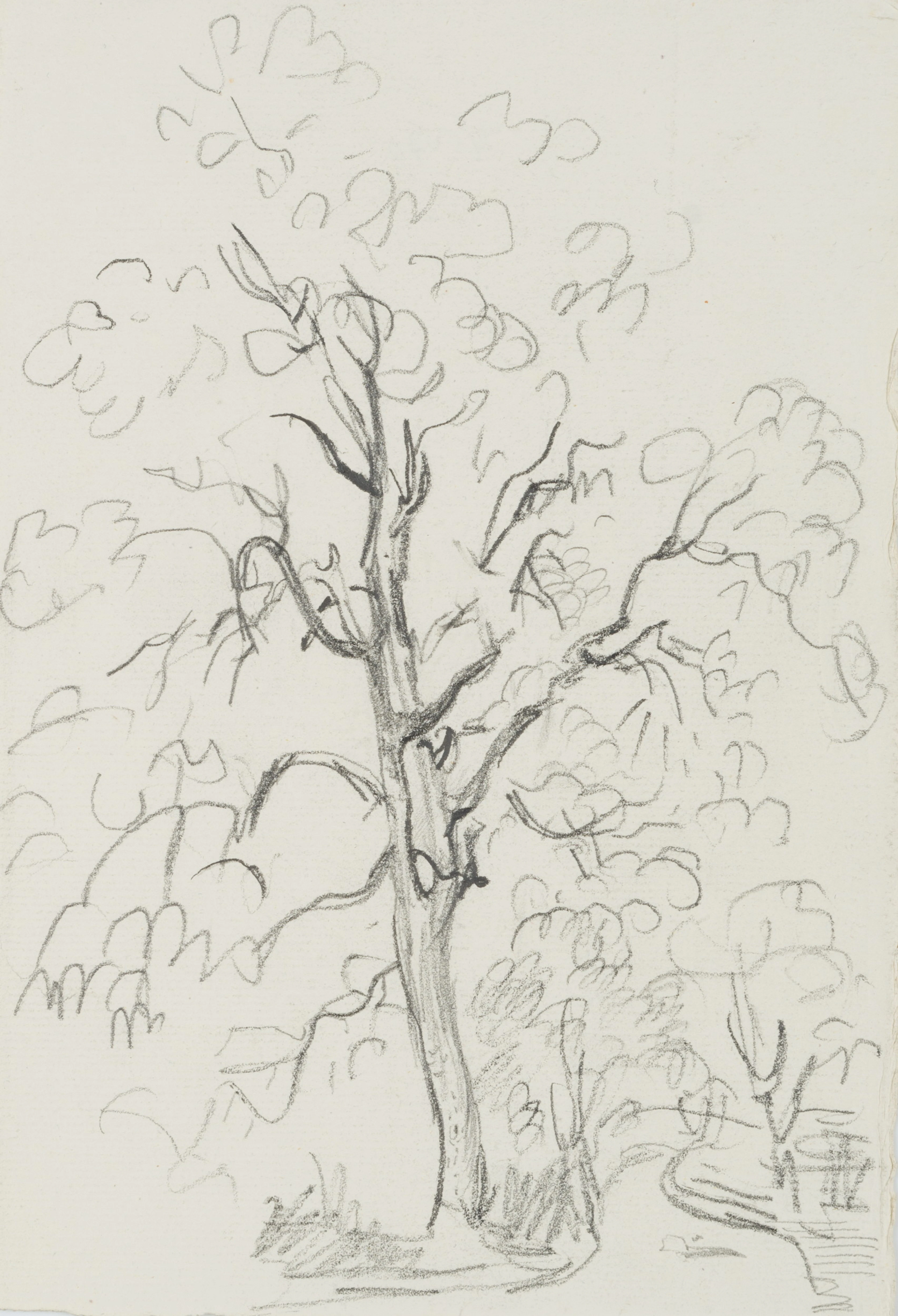 Baum am Wegrand | 45412