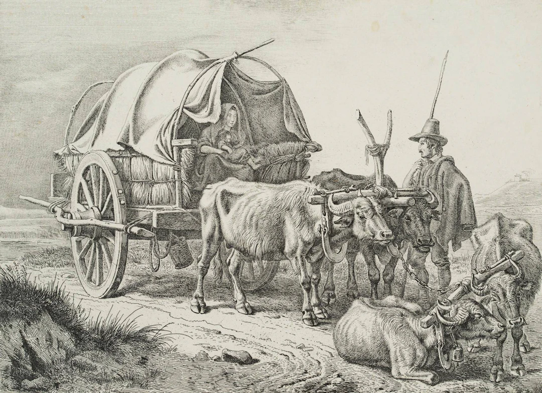 Buffalaro di Roma, Büffelkarren | 17227