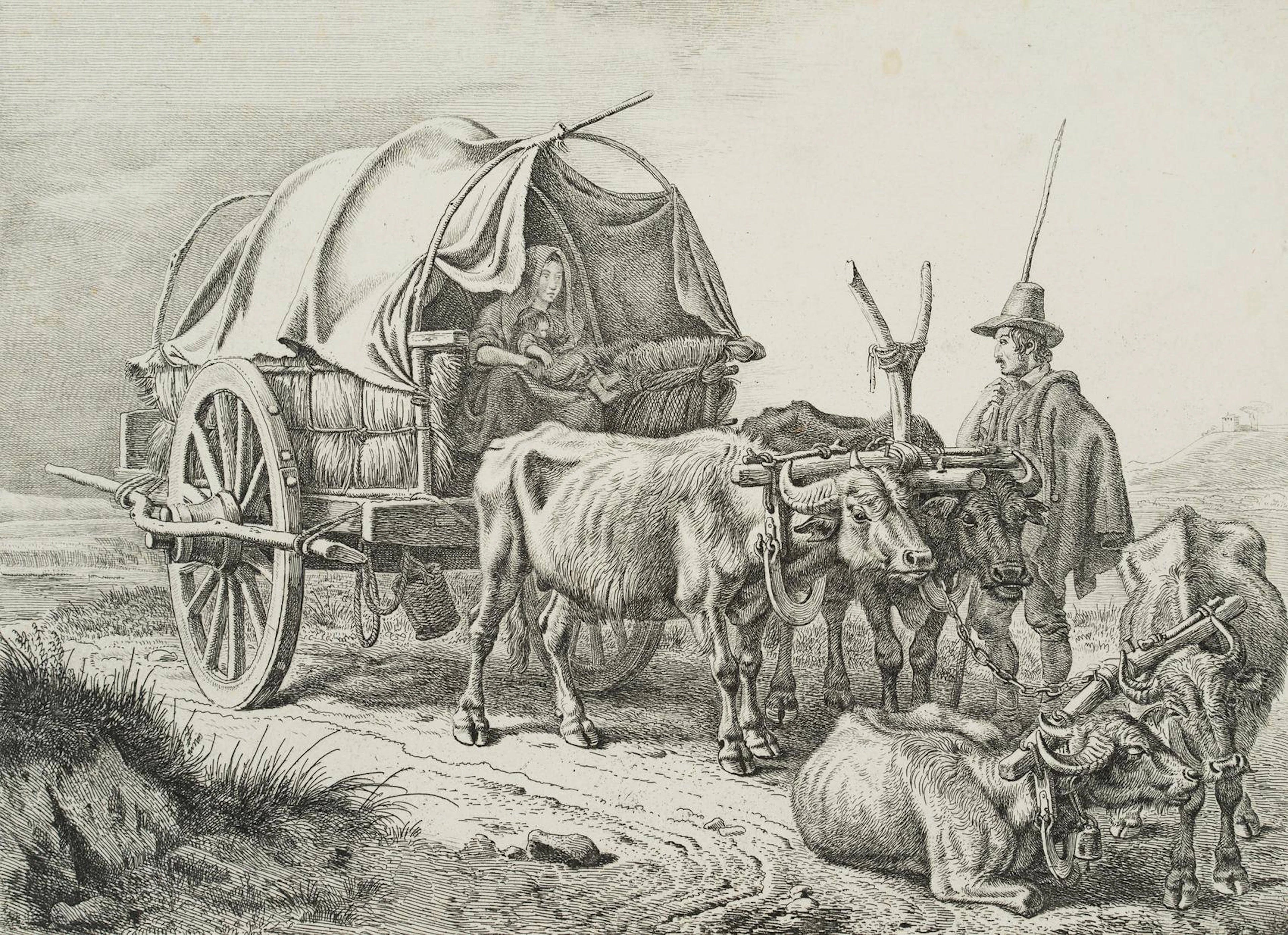 Buffalaro di Roma, Büffelkarren | 17227