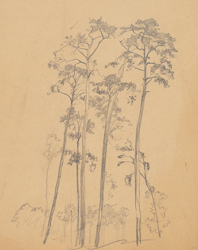Baumgruppe, Studie | 61947