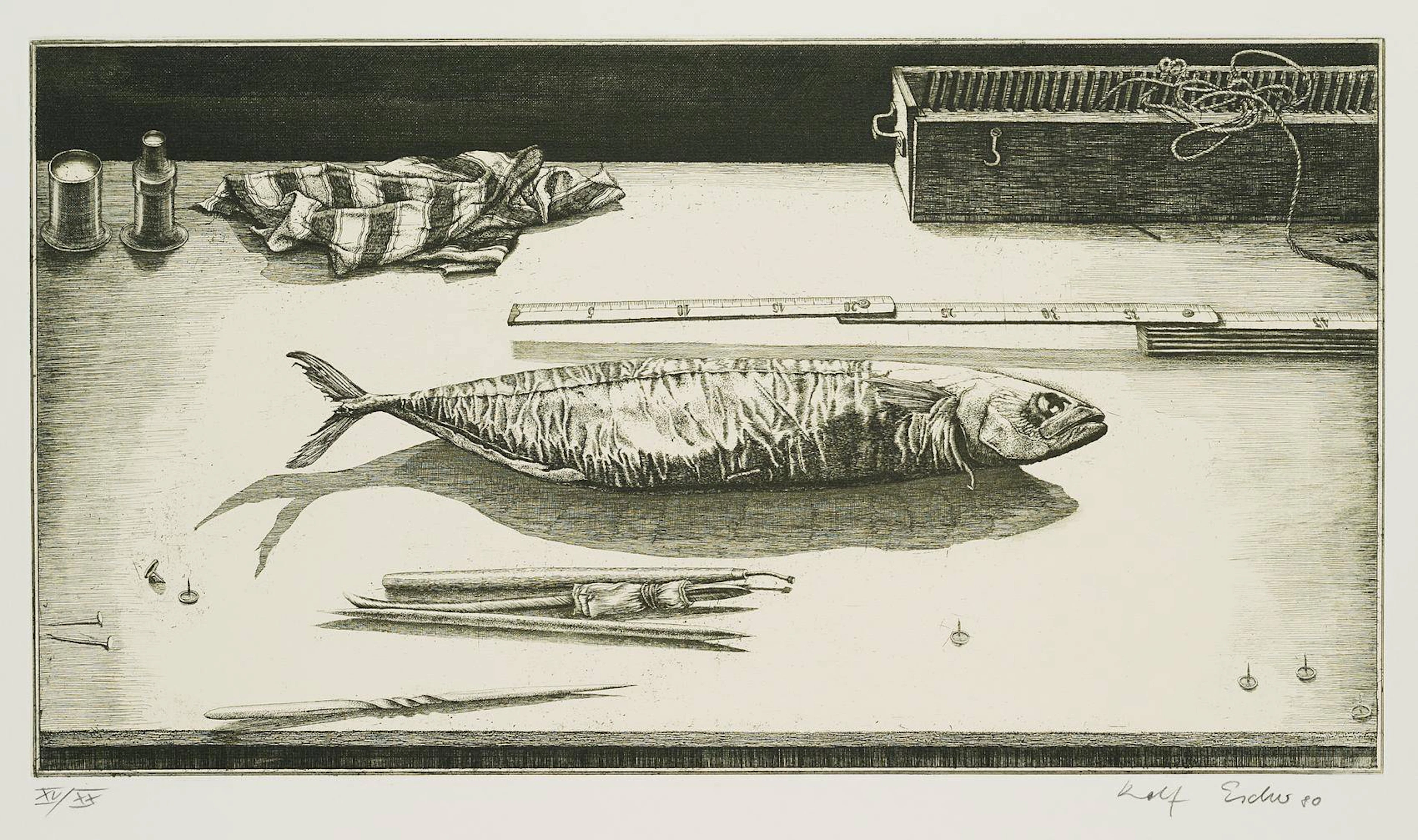 Radierfisch, 7. Zustand | 16529