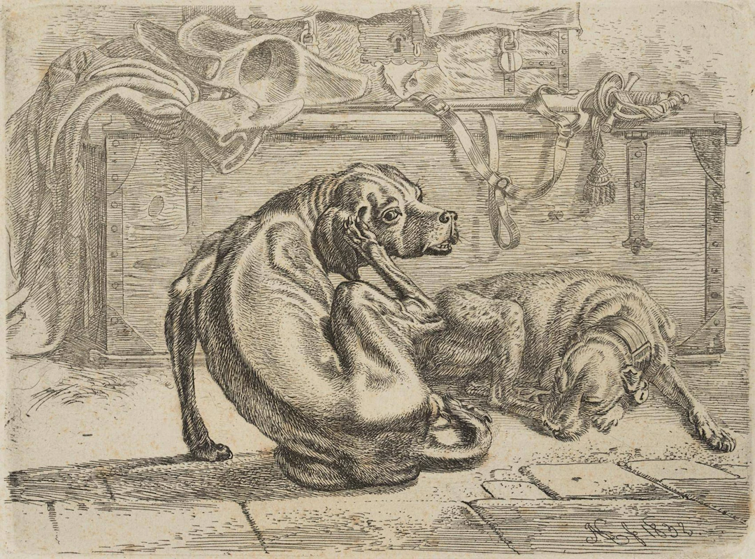 Die Hunde bei der Kiste | 17210