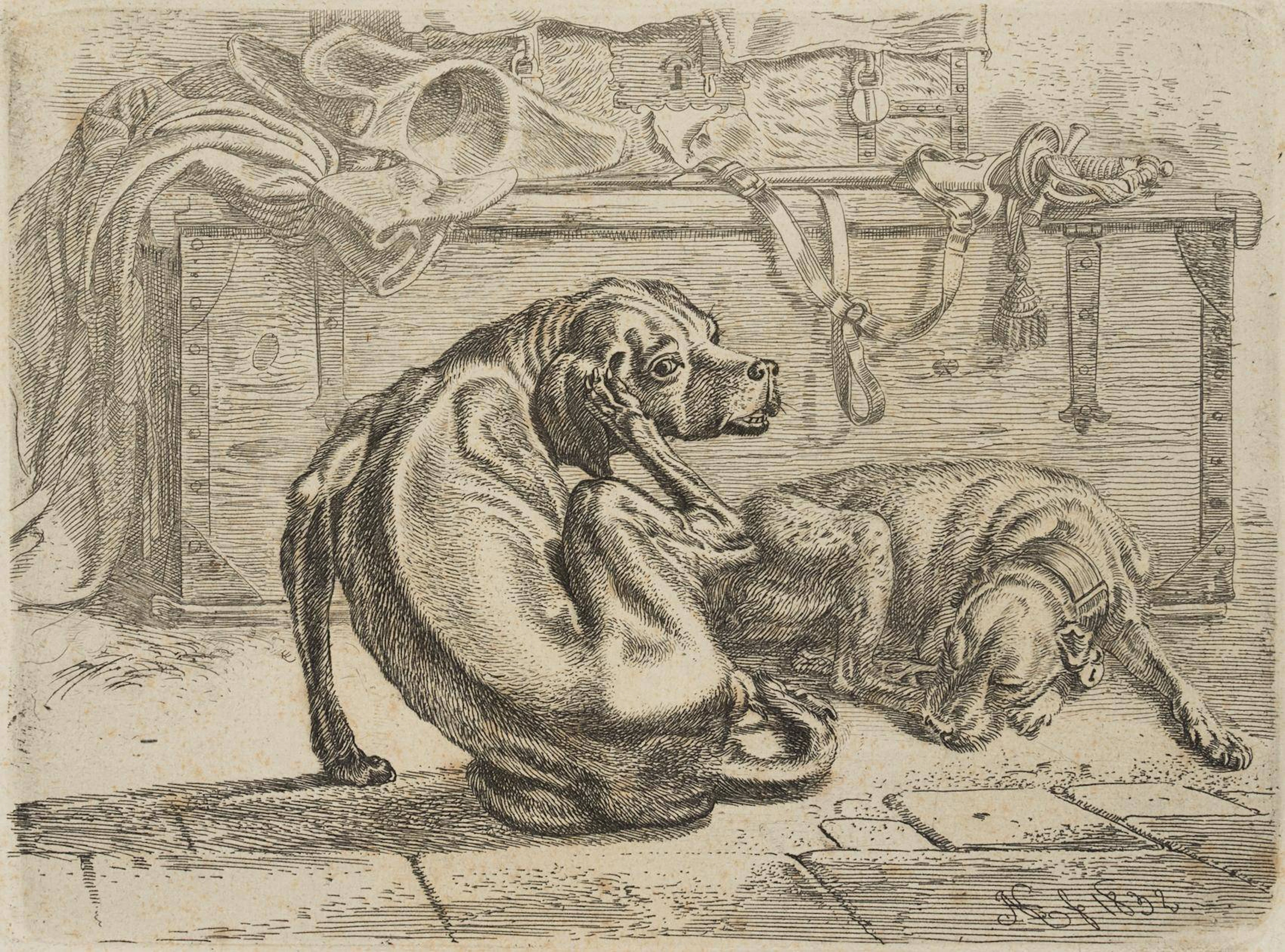 Die Hunde bei der Kiste | 17210