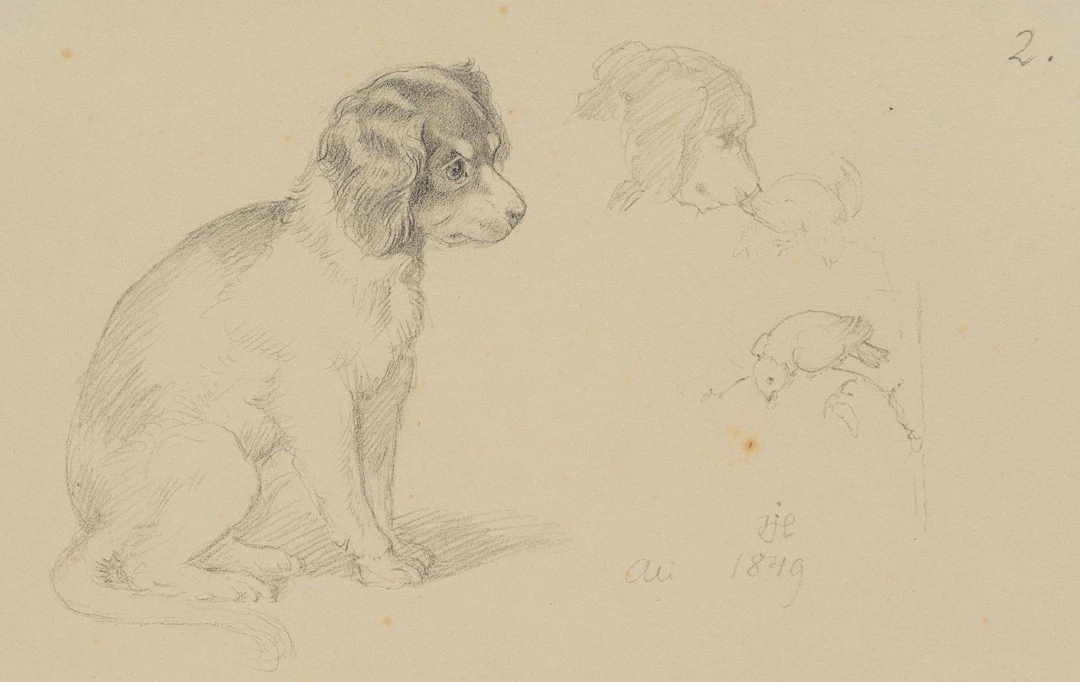 Der Familienhund Ali | 14560