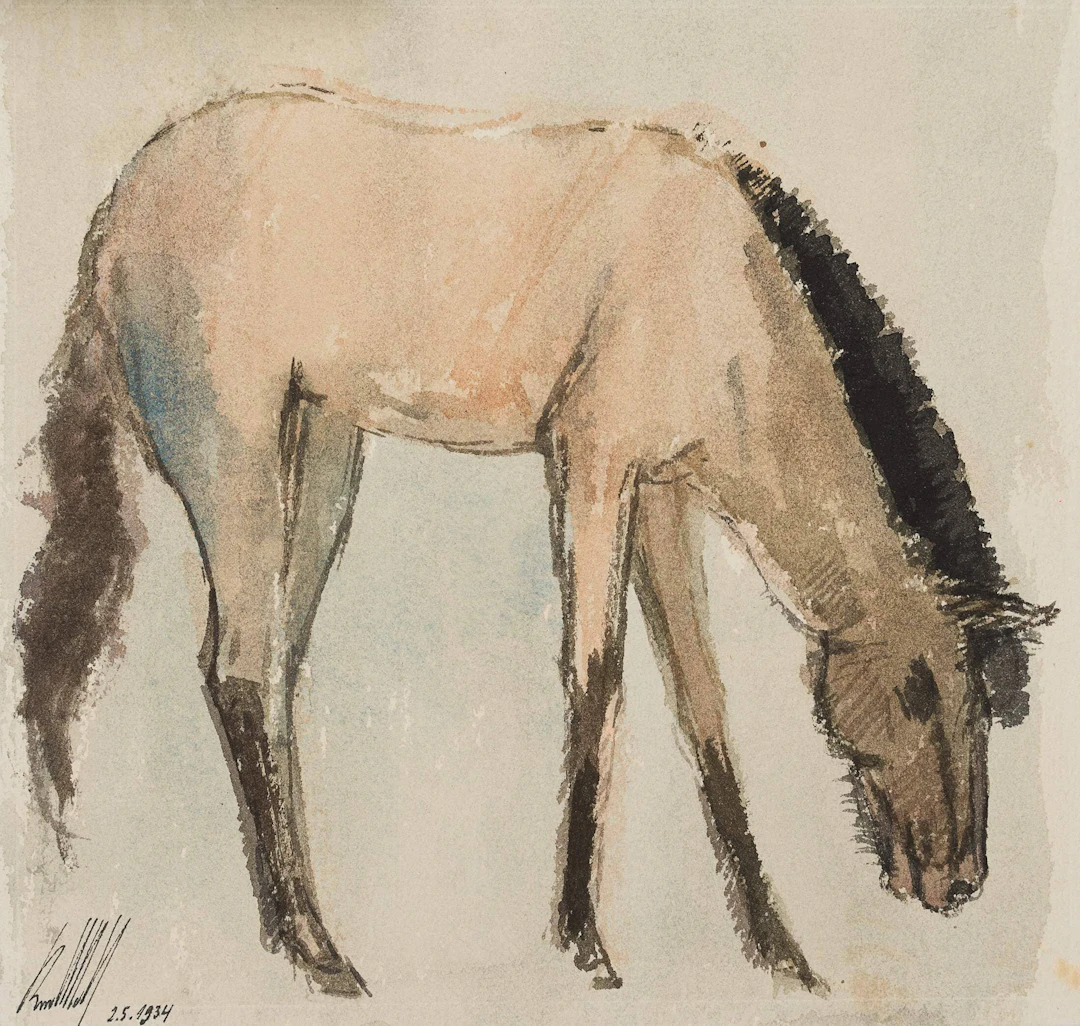 Wildpferd, Przewalski-Pferd | 19860