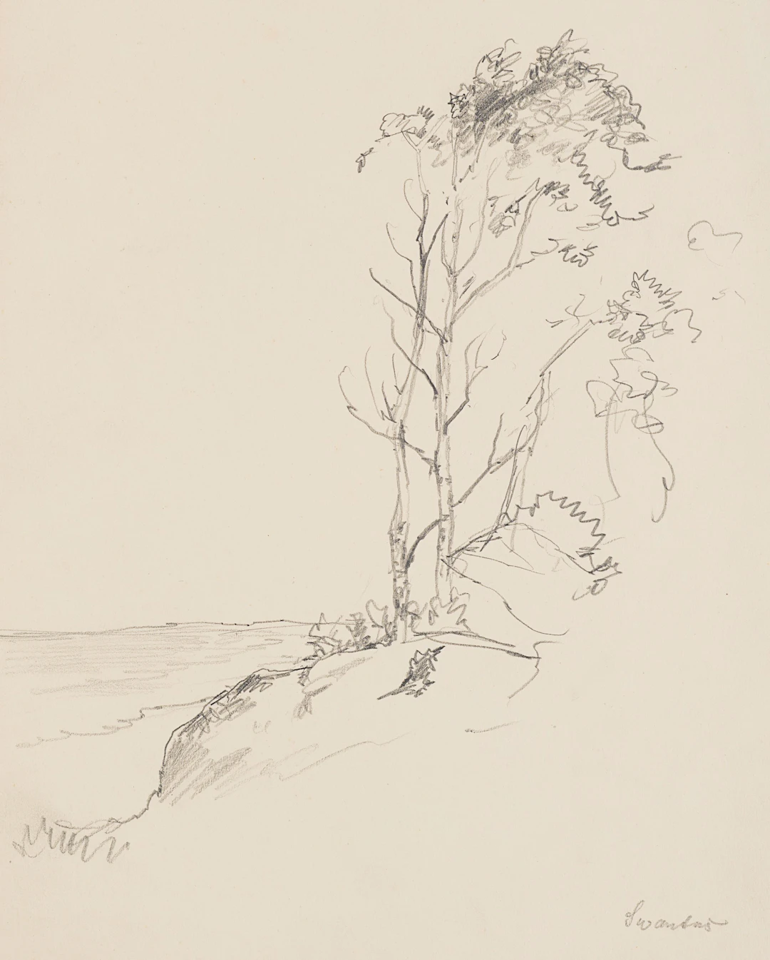 Baumgruppe auf Felsvorsprung. Küstenlandschaft | 61963