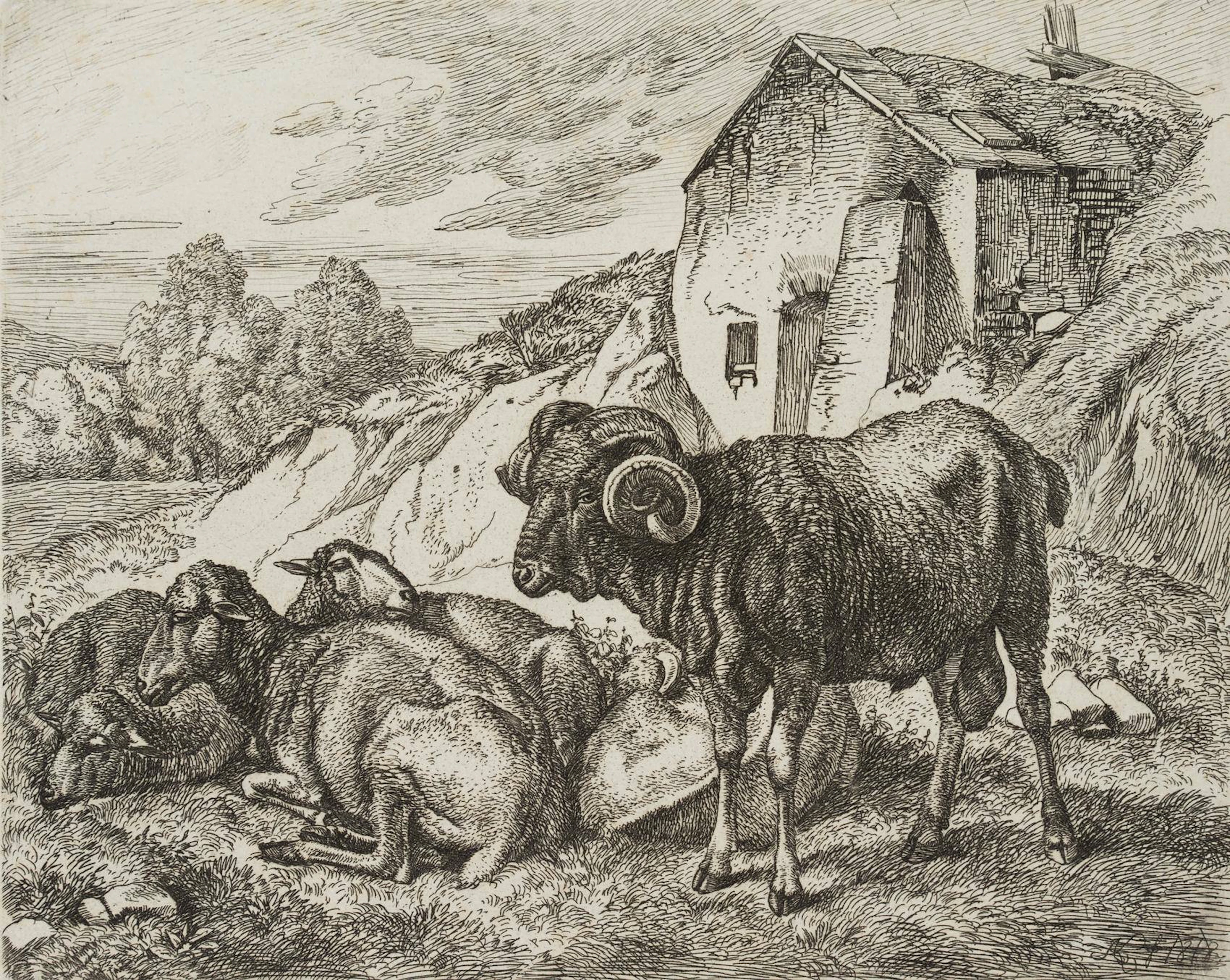 Die Schafe bei dem Kalkofen | 17190