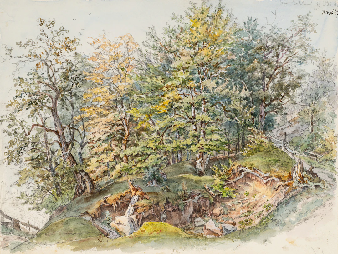 Georg Wiesend (1807 Kufstein - 1881 Berchtesgaden), Wäldchen in den