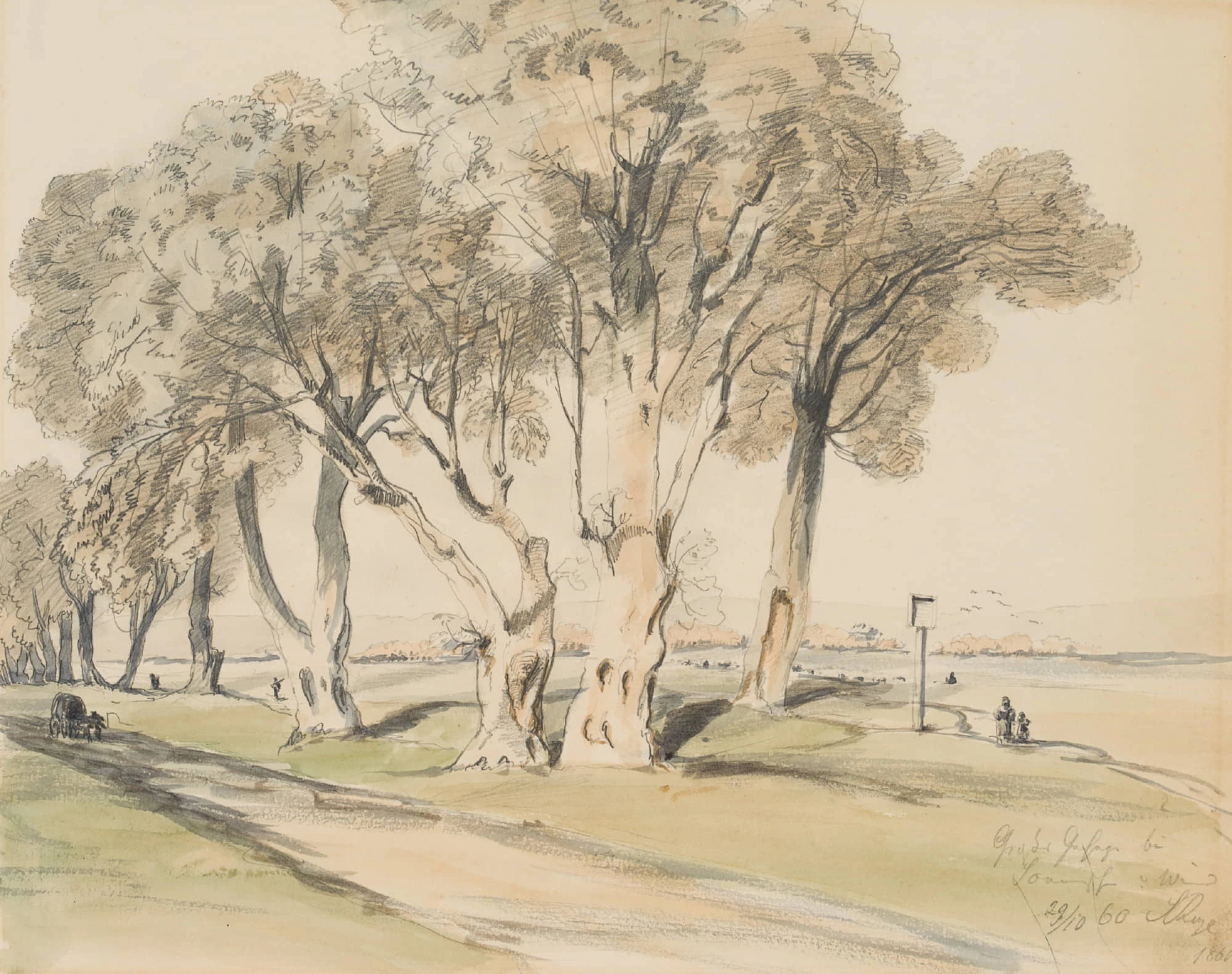 Allee im Ostragehege, Dresden | 44573