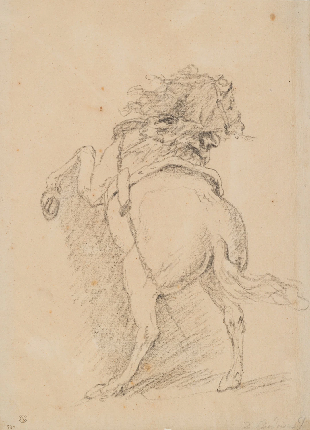 Steigendes Pferd | 18858