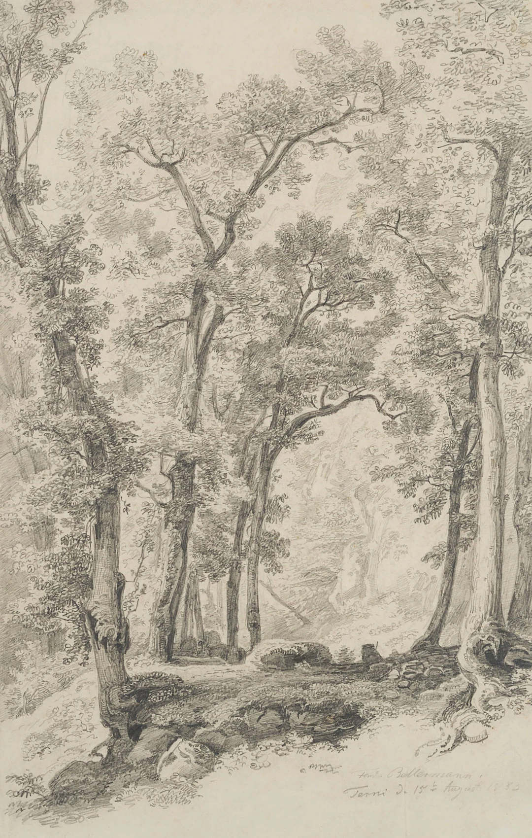 Park in Terni | 18535