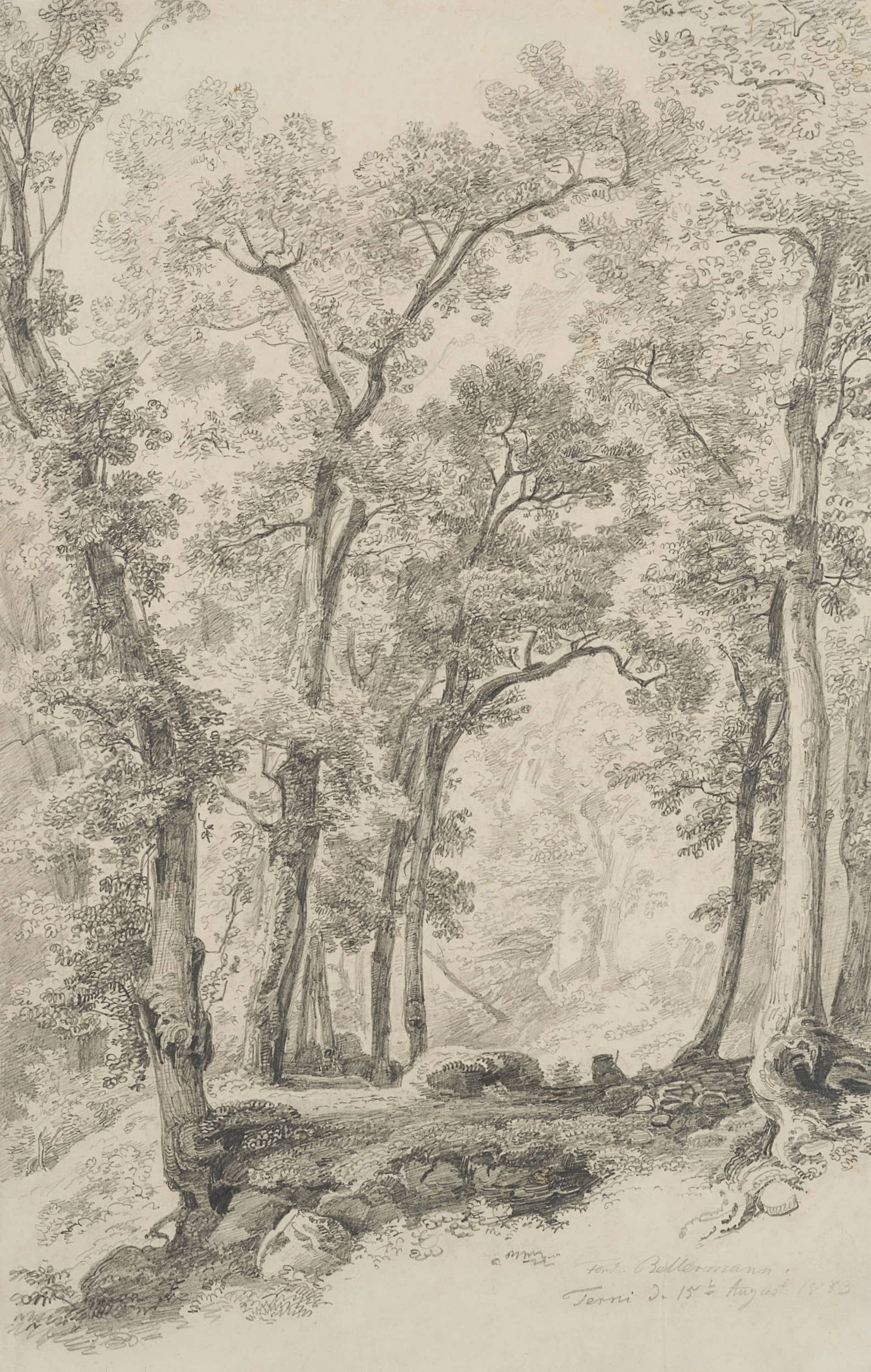 Park in Terni | 18535