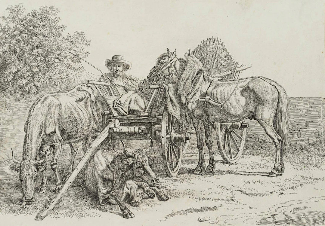 Nürnberger Bauernfuhrwerk | 17228