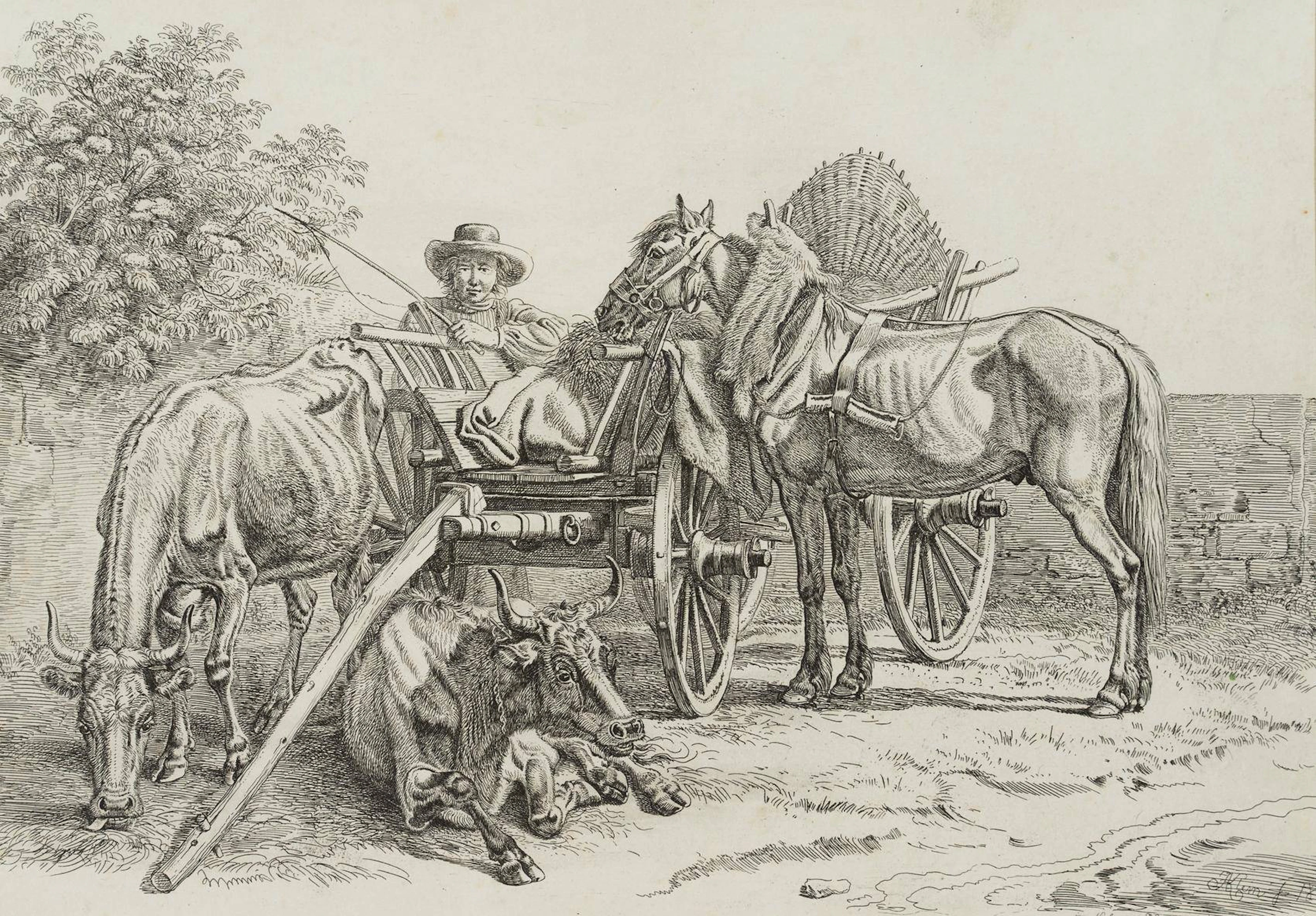 Nürnberger Bauernfuhrwerk | 17228