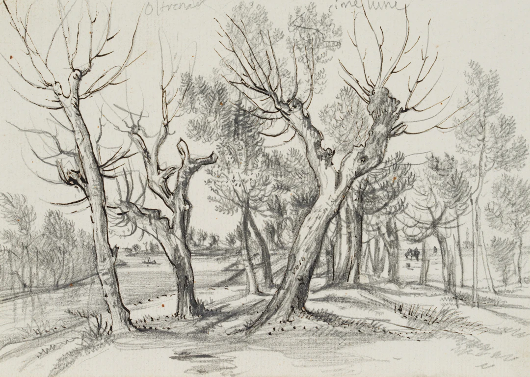 Flusslandschaft mit Bäumen