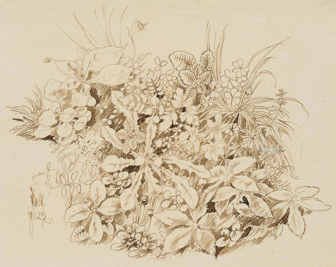 Wiesenstück mit Klee | 17478