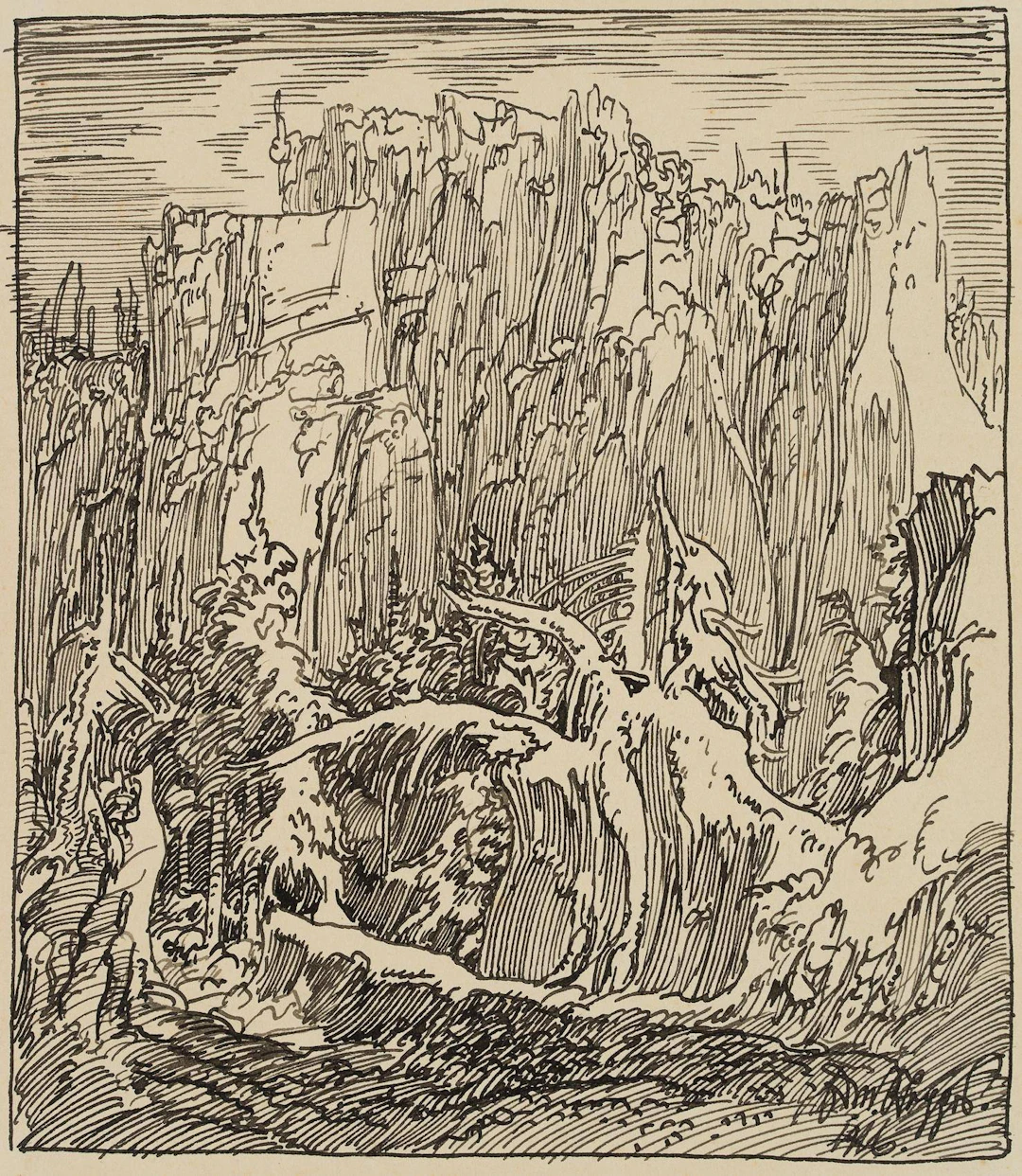 Felsmassiv im alten Wald | 17457