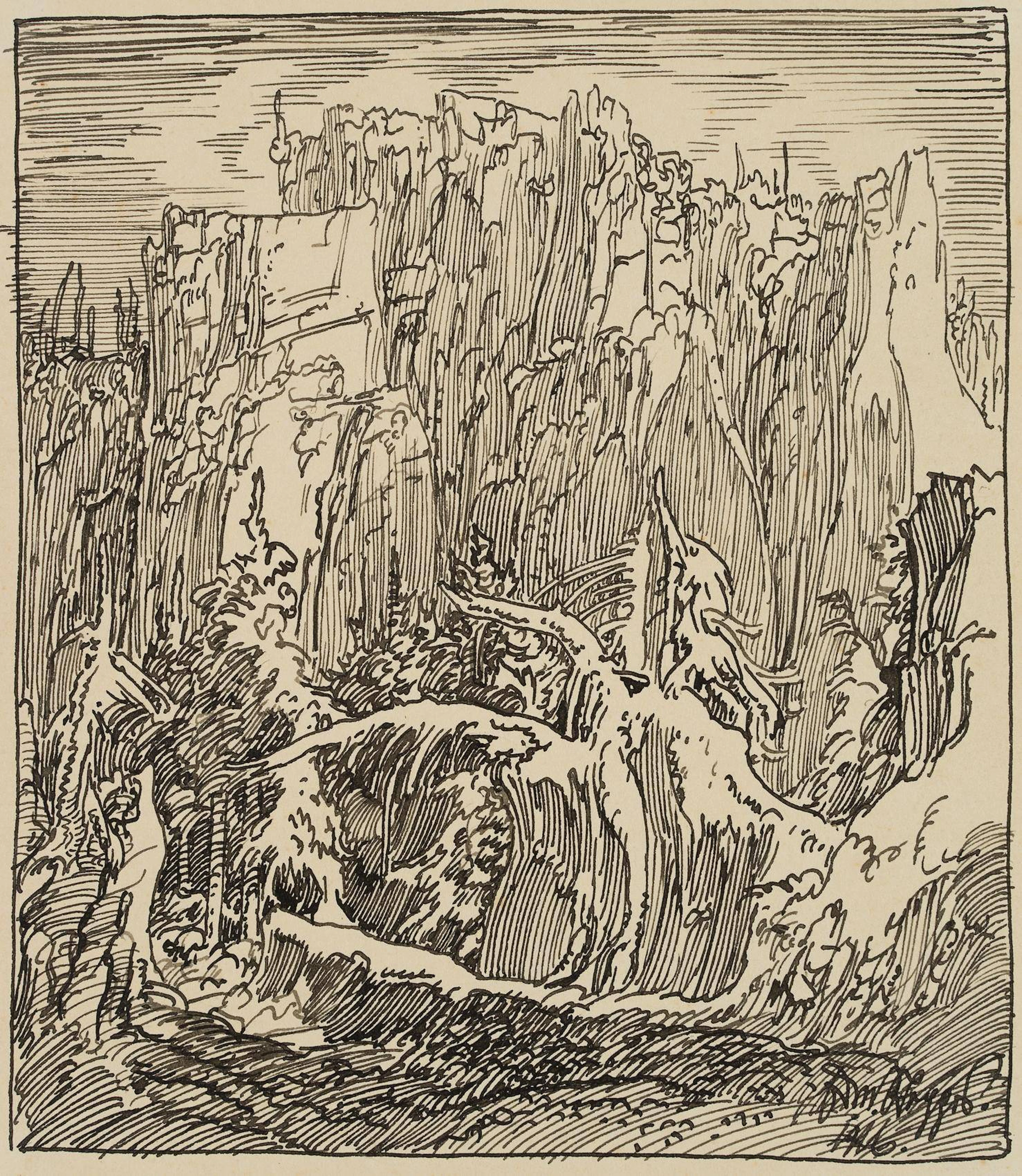 Felsmassiv im alten Wald | 17457