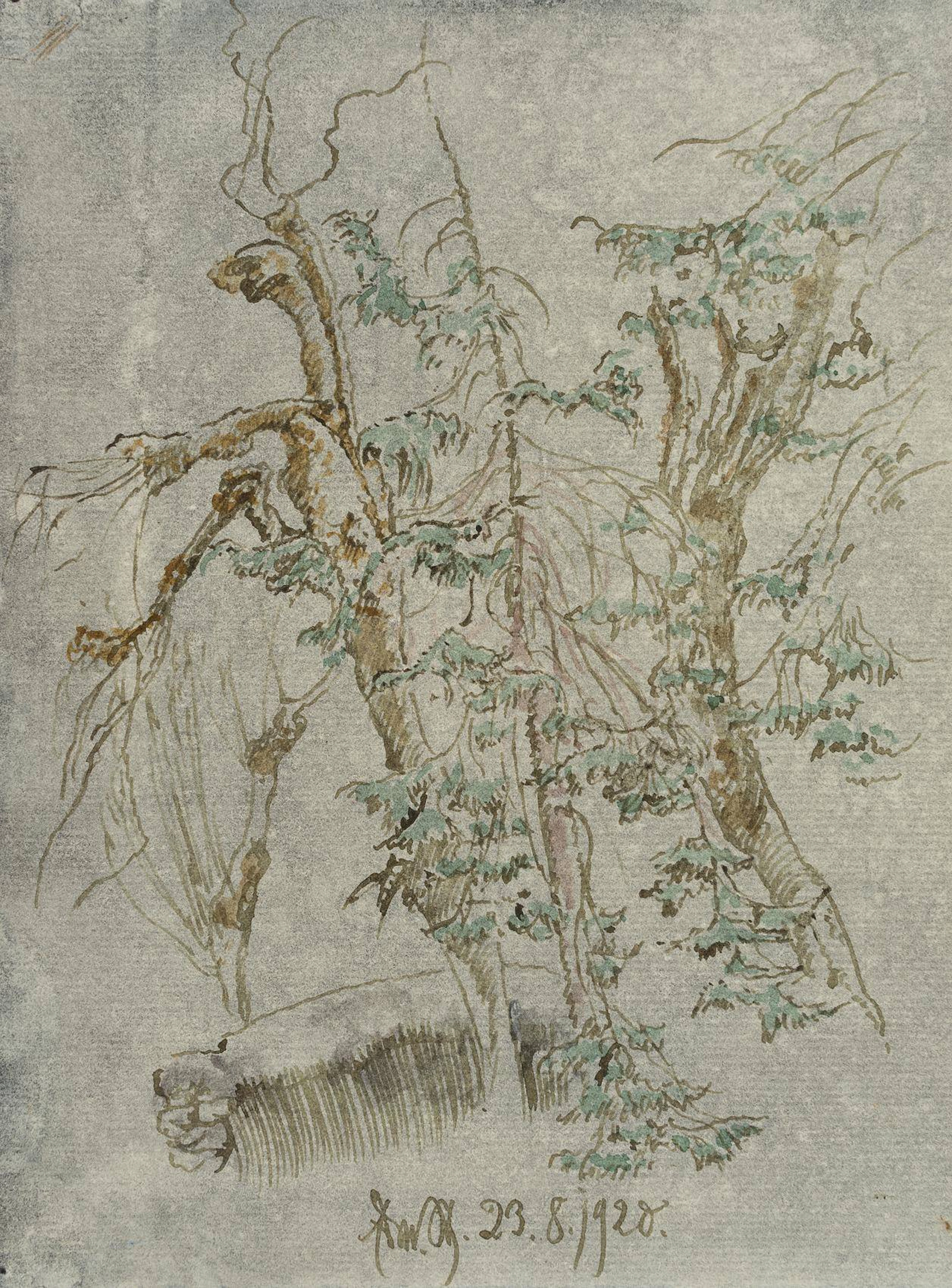 Baumstudie | 17419