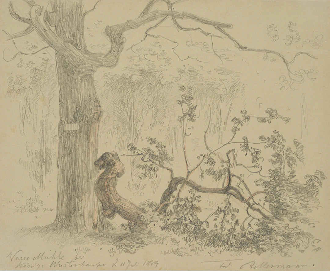 Tiergarten Neue Mühle | 18552