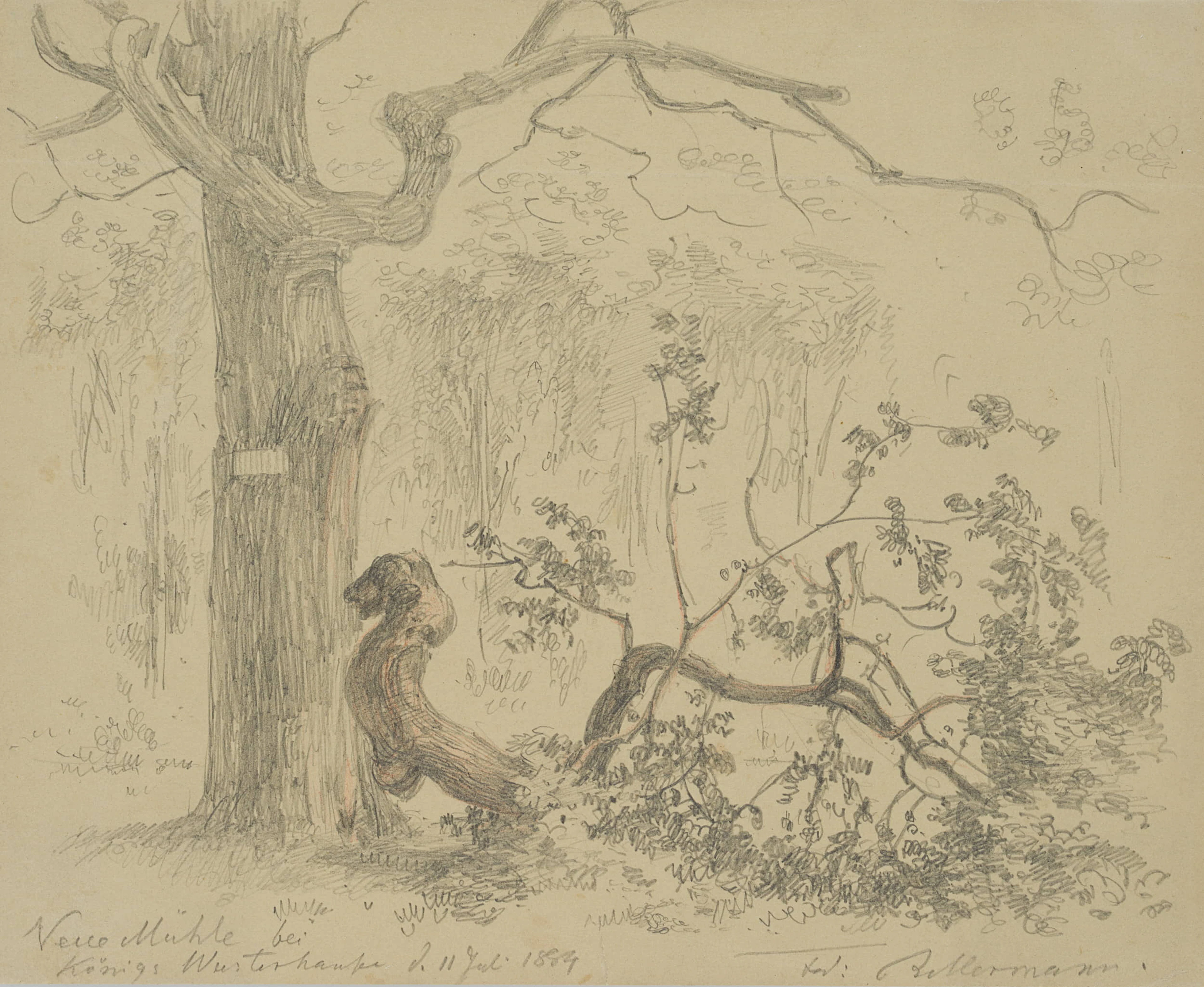 Tiergarten Neue Mühle | 18552
