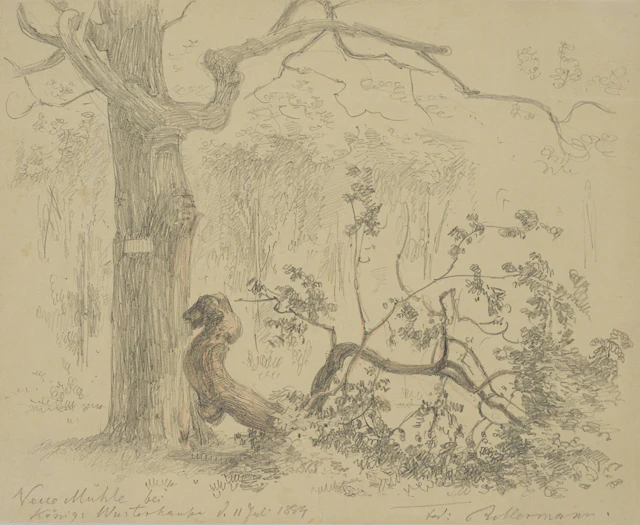 Tiergarten Neue Mühle | 18552